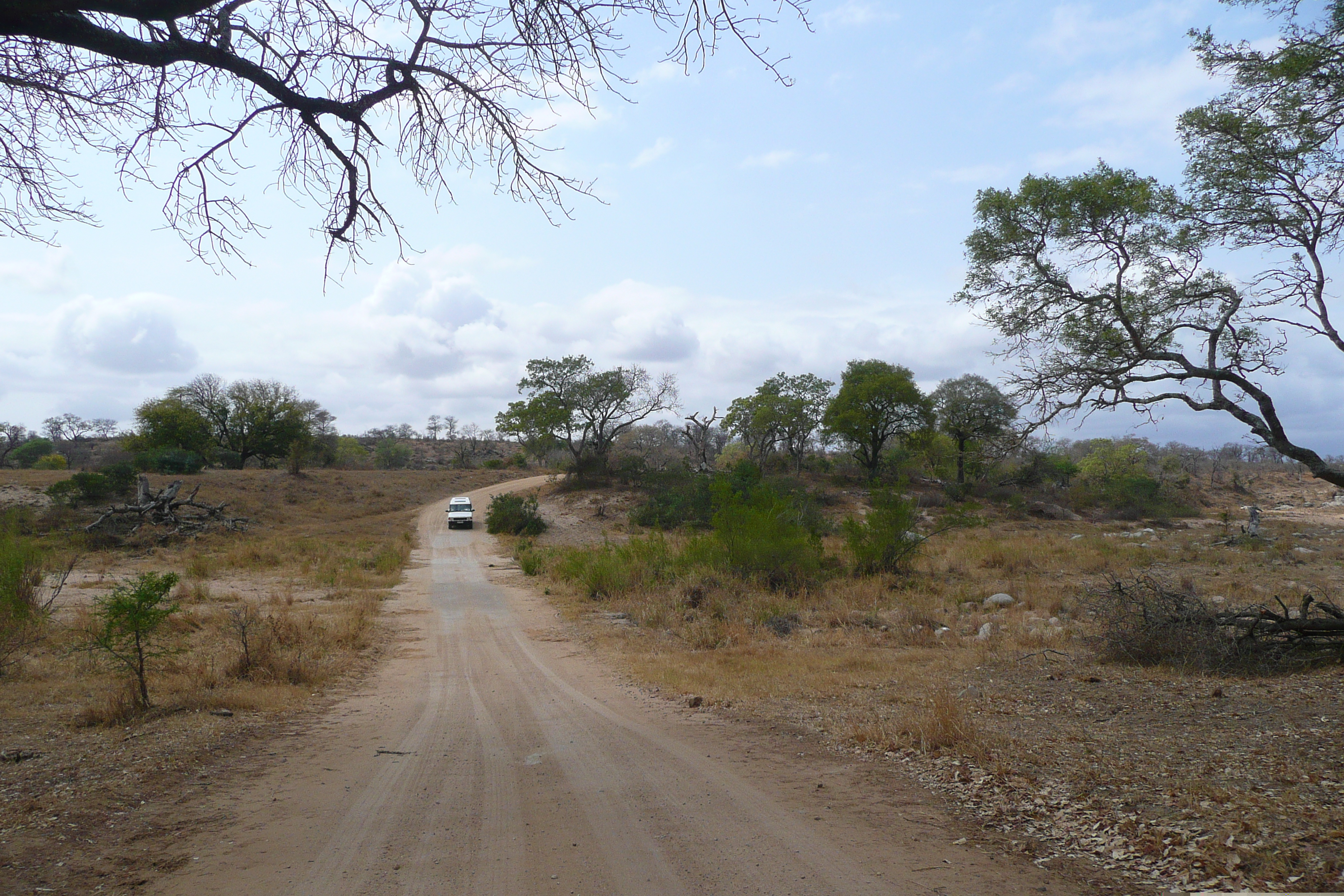 Picture South Africa Kruger National Park Crocodile River road 2008-09 53 - History Crocodile River road