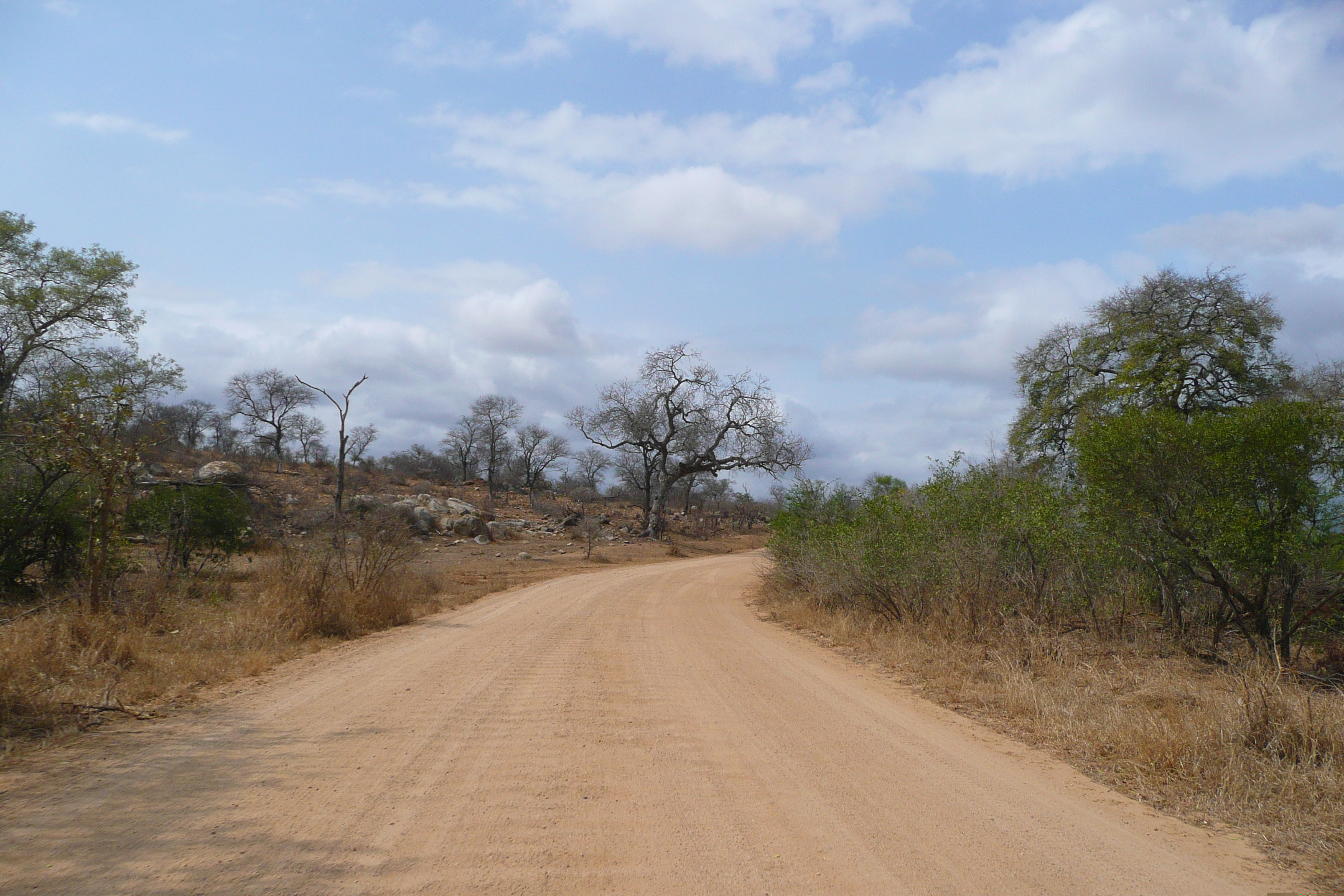 Picture South Africa Kruger National Park Crocodile River road 2008-09 57 - Tour Crocodile River road