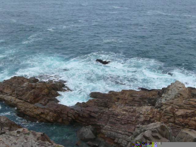 Picture South Africa Cape St Blaise 2008-09 46 - Tour Cape St Blaise