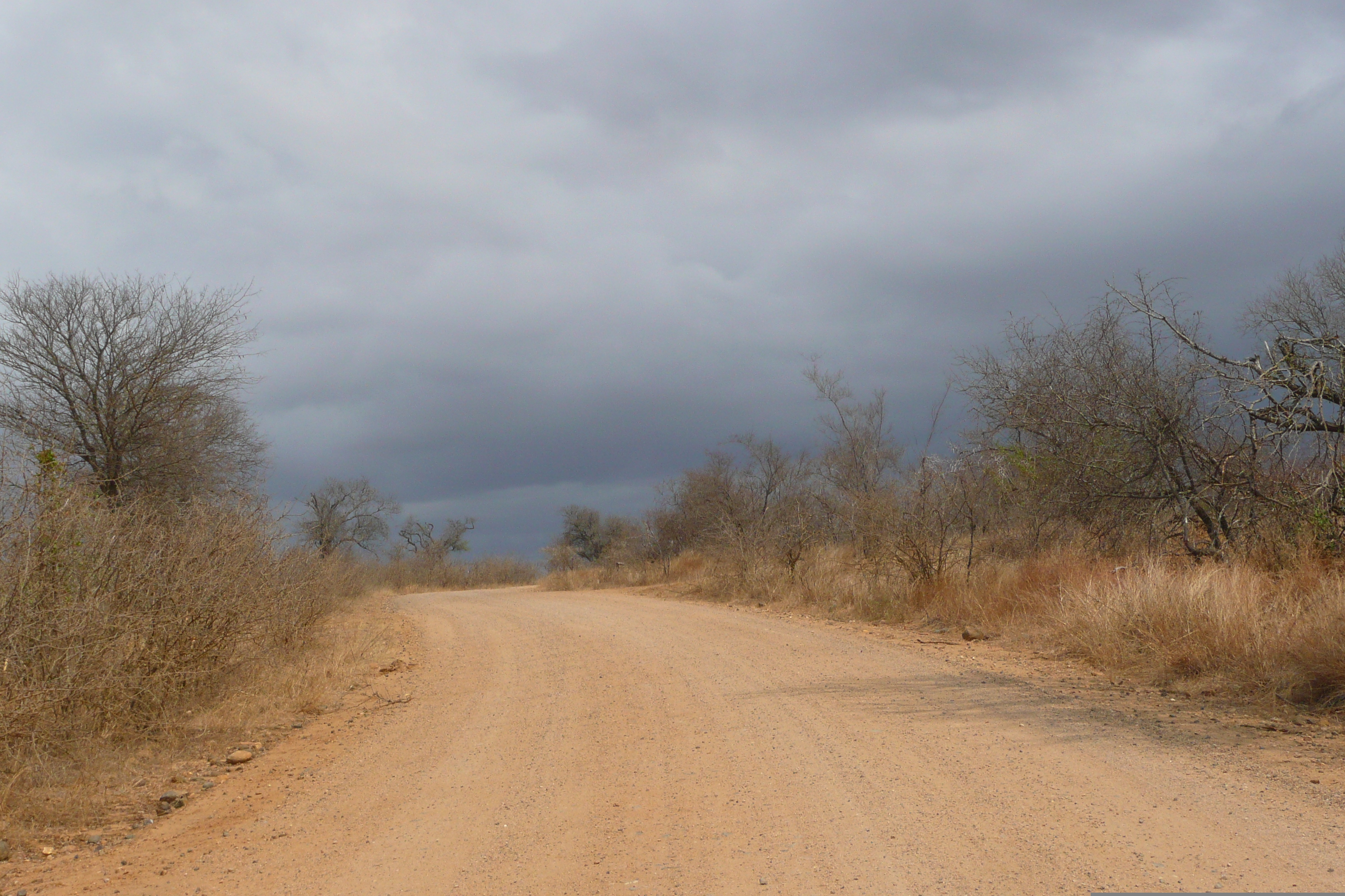 Picture South Africa Kruger National Park Crocodile River road 2008-09 59 - Around Crocodile River road