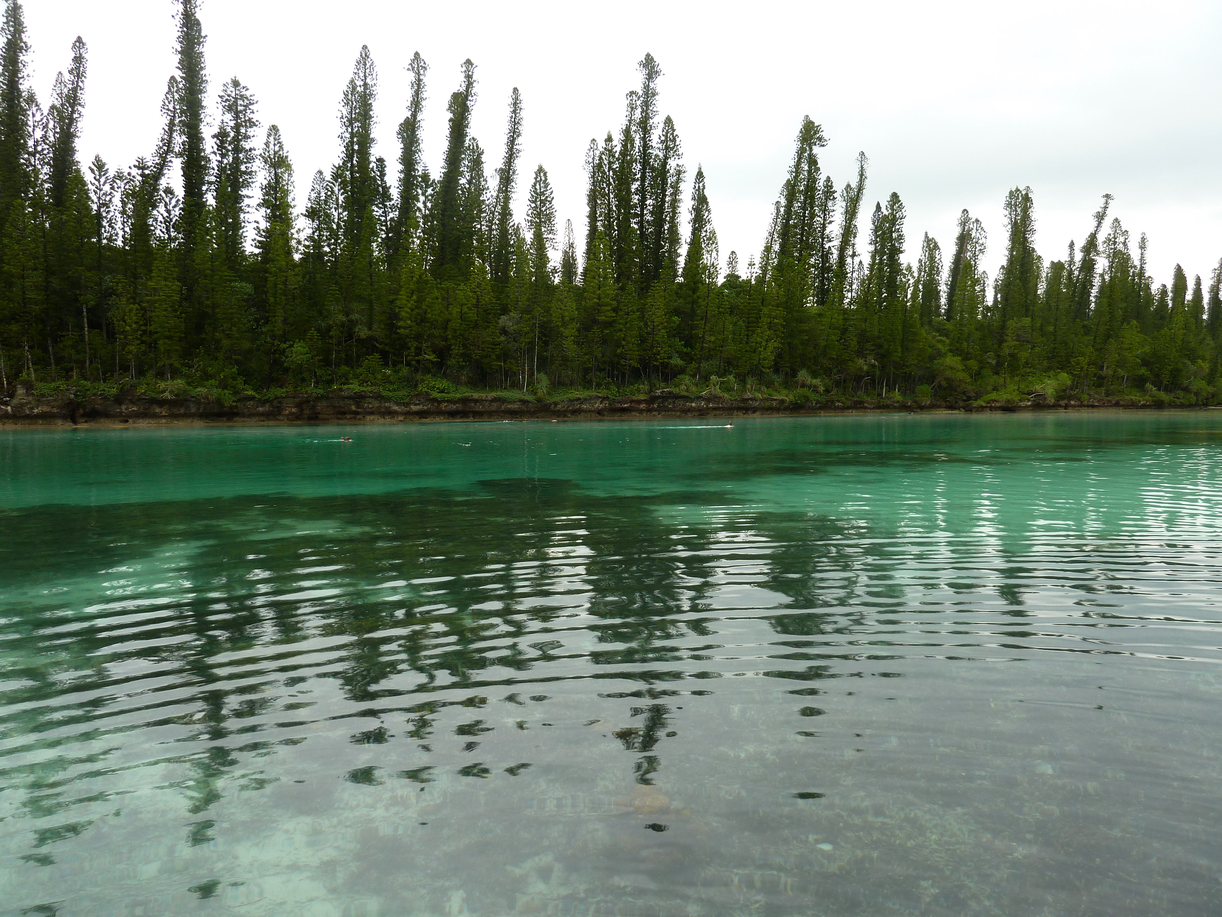 Picture New Caledonia Ile des pins Oro Bay 2010-05 88 - Center Oro Bay