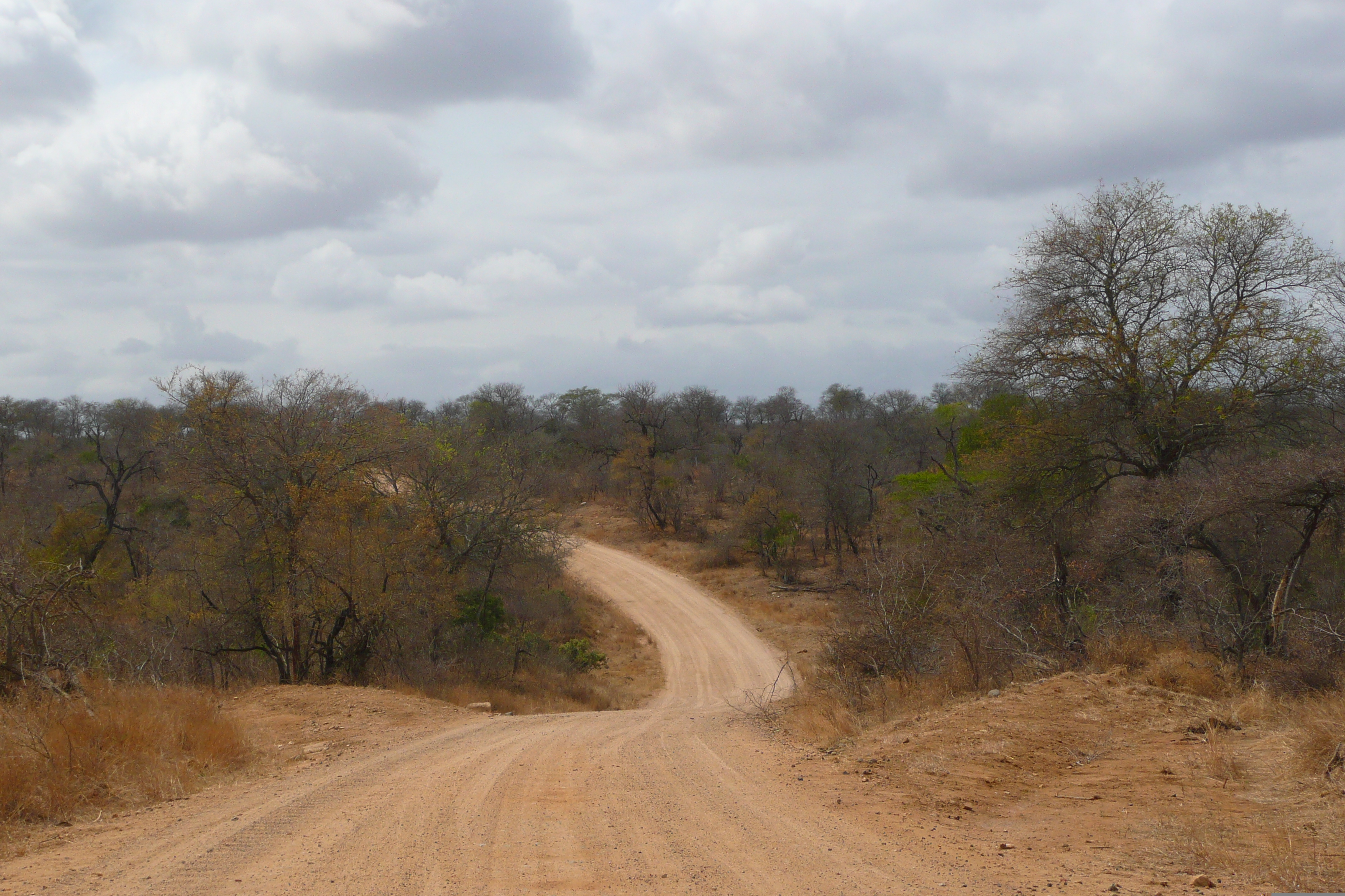 Picture South Africa Kruger National Park Crocodile River road 2008-09 4 - Around Crocodile River road