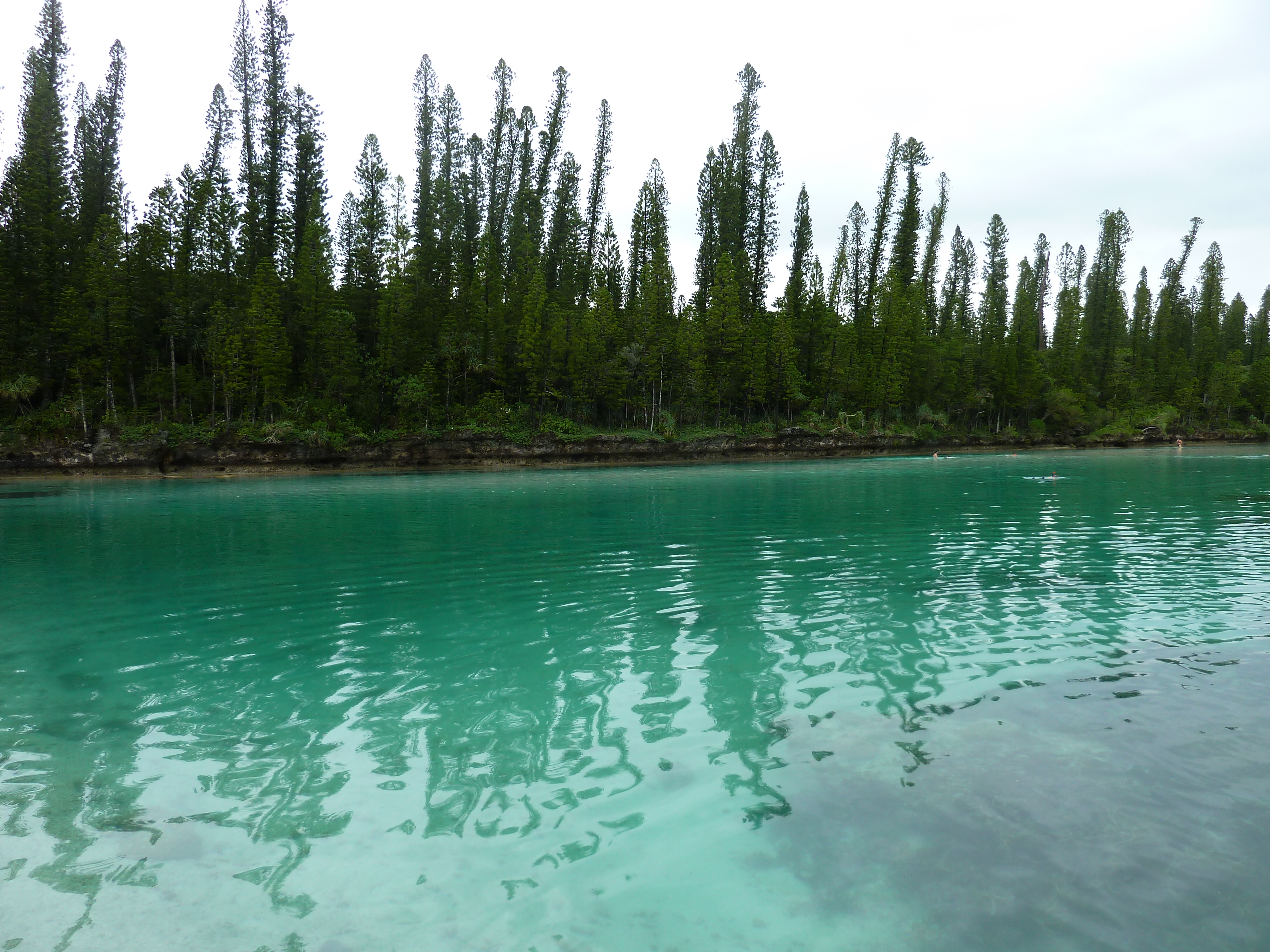 Picture New Caledonia Ile des pins Oro Bay 2010-05 76 - Around Oro Bay