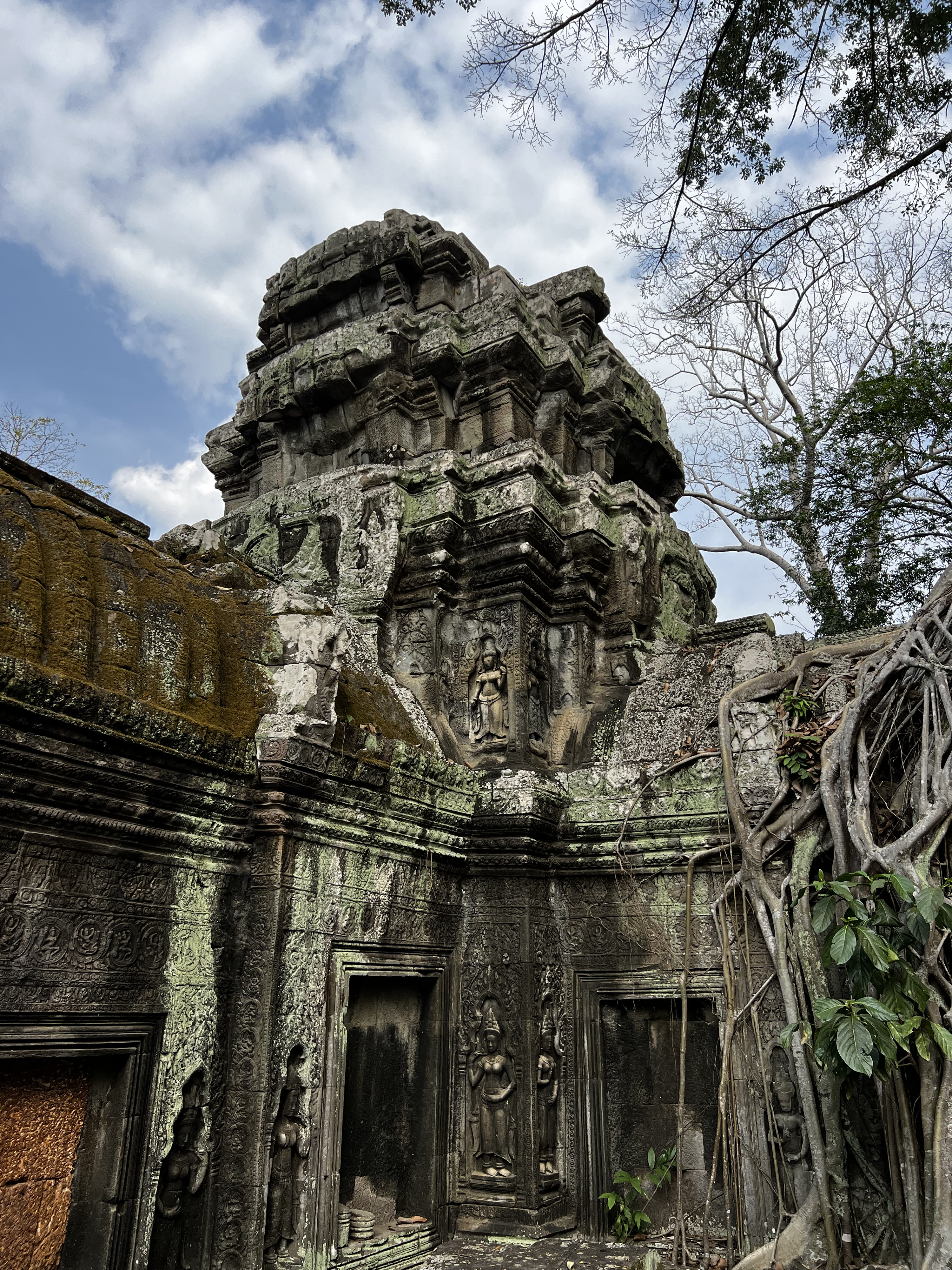 Picture Cambodia Siem Reap Ta Prohm 2023-01 60 - History Ta Prohm