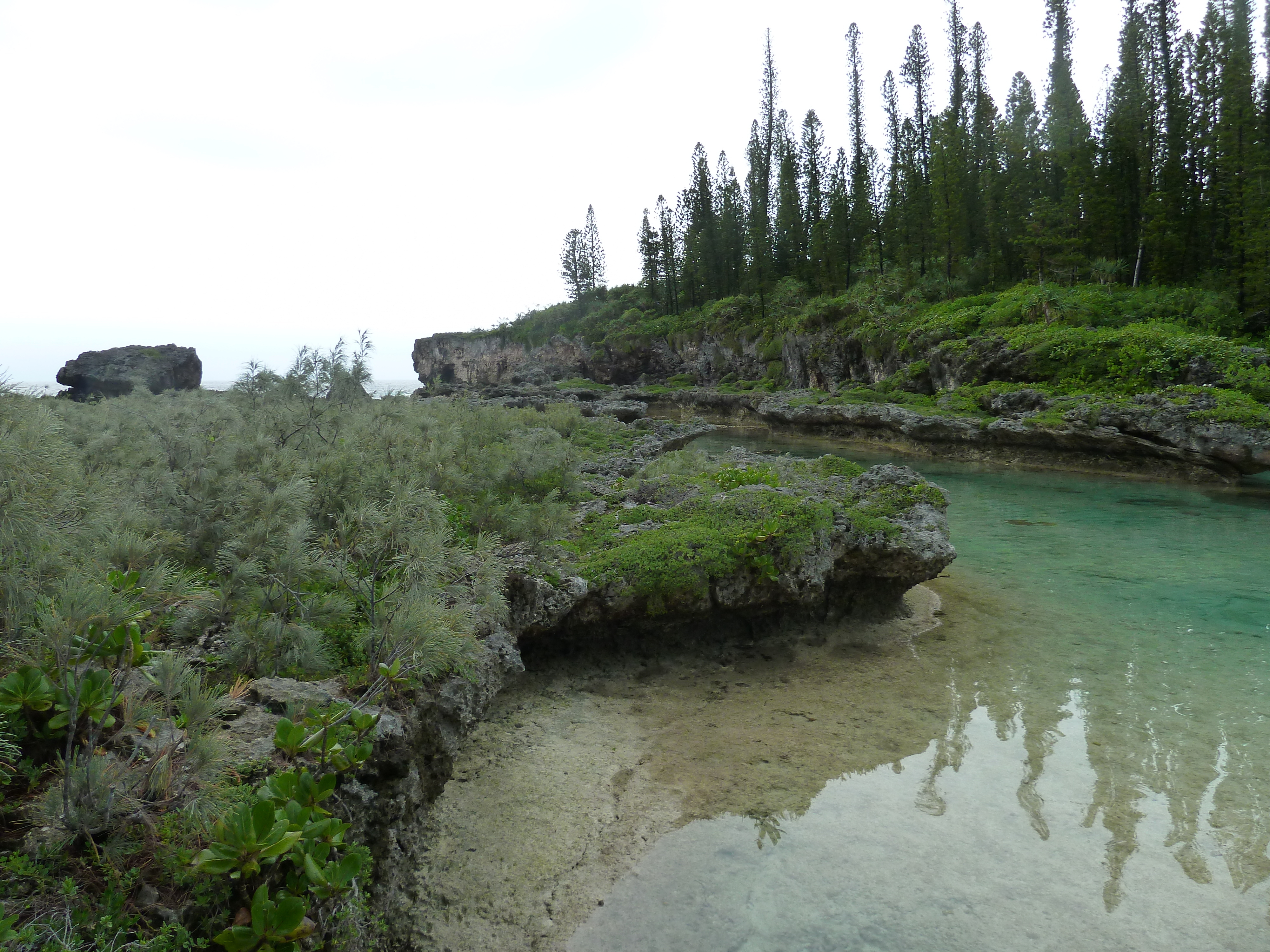 Picture New Caledonia Ile des pins Oro Bay 2010-05 9 - Discovery Oro Bay