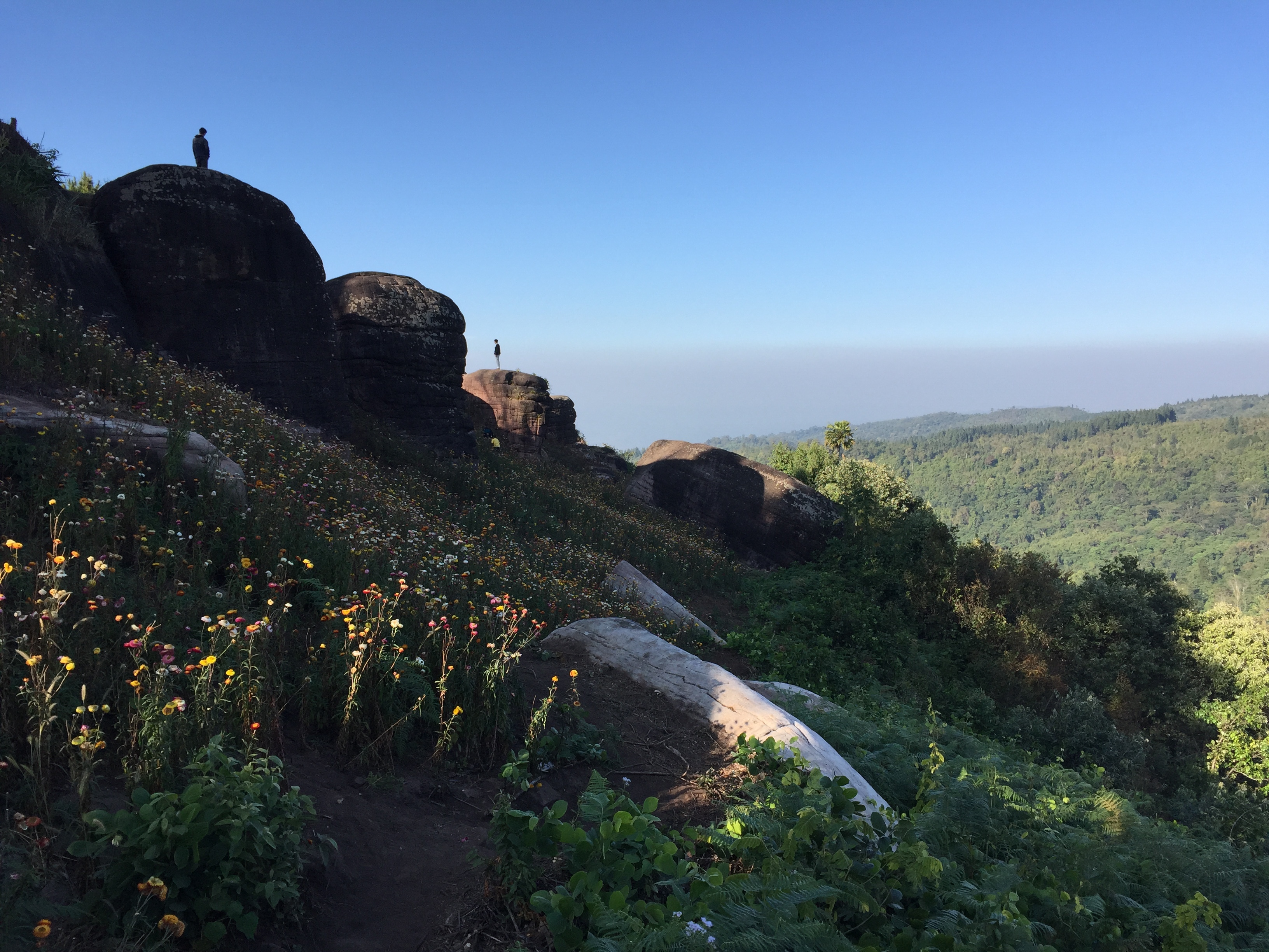 Picture Thailand Phu Hin Rong Kla National Park 2014-12 292 - Tours Phu Hin Rong Kla National Park