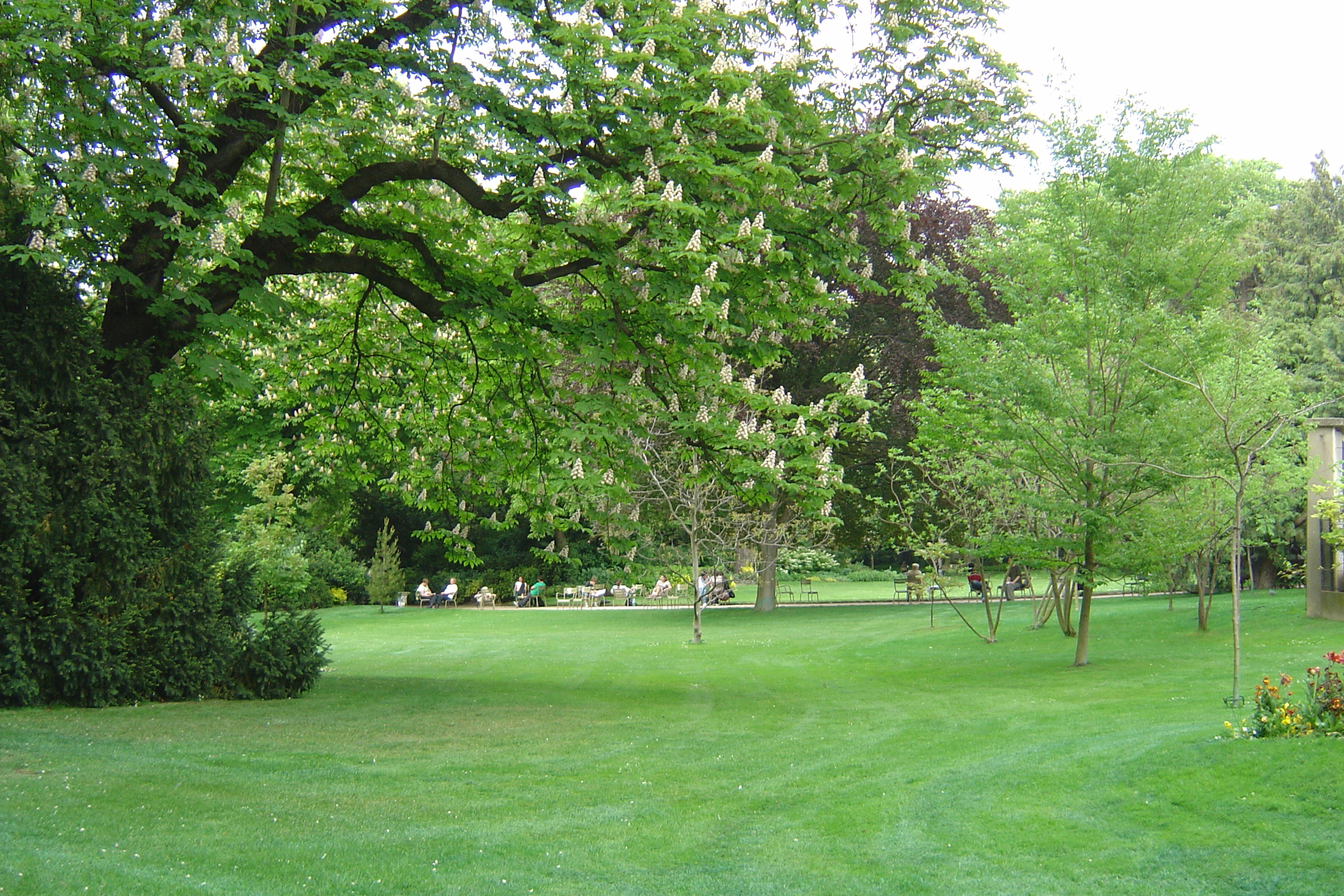 Picture France Paris Luxembourg Garden 2007-04 16 - Recreation Luxembourg Garden