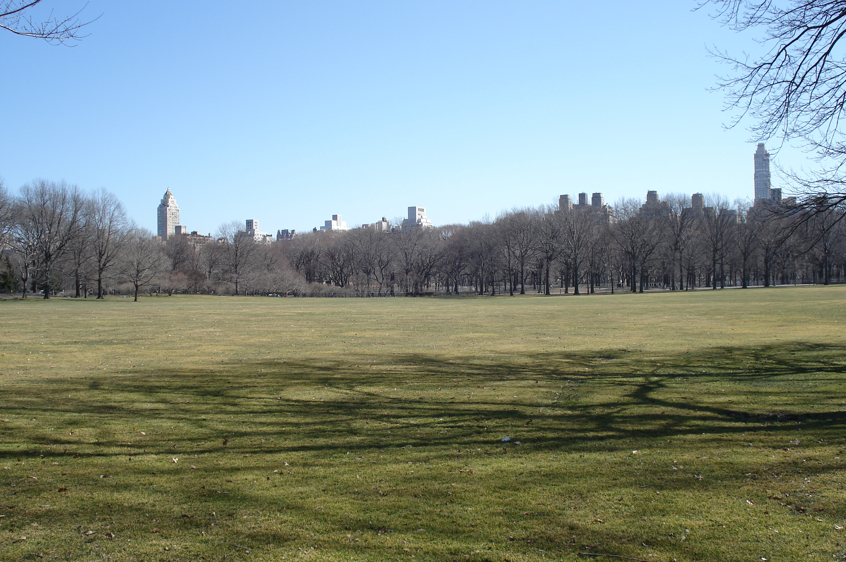 Picture United States New York Central Park 2006-03 7 - Tour Central Park