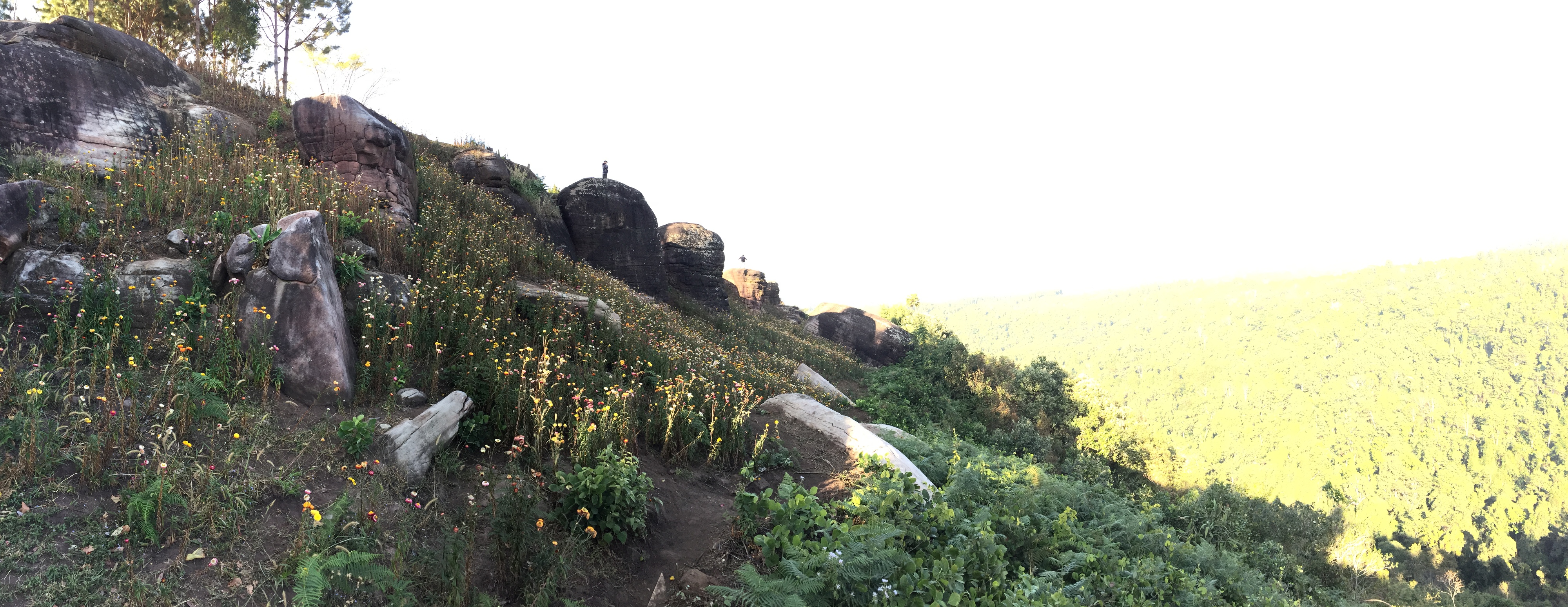 Picture Thailand Phu Hin Rong Kla National Park 2014-12 226 - Around Phu Hin Rong Kla National Park