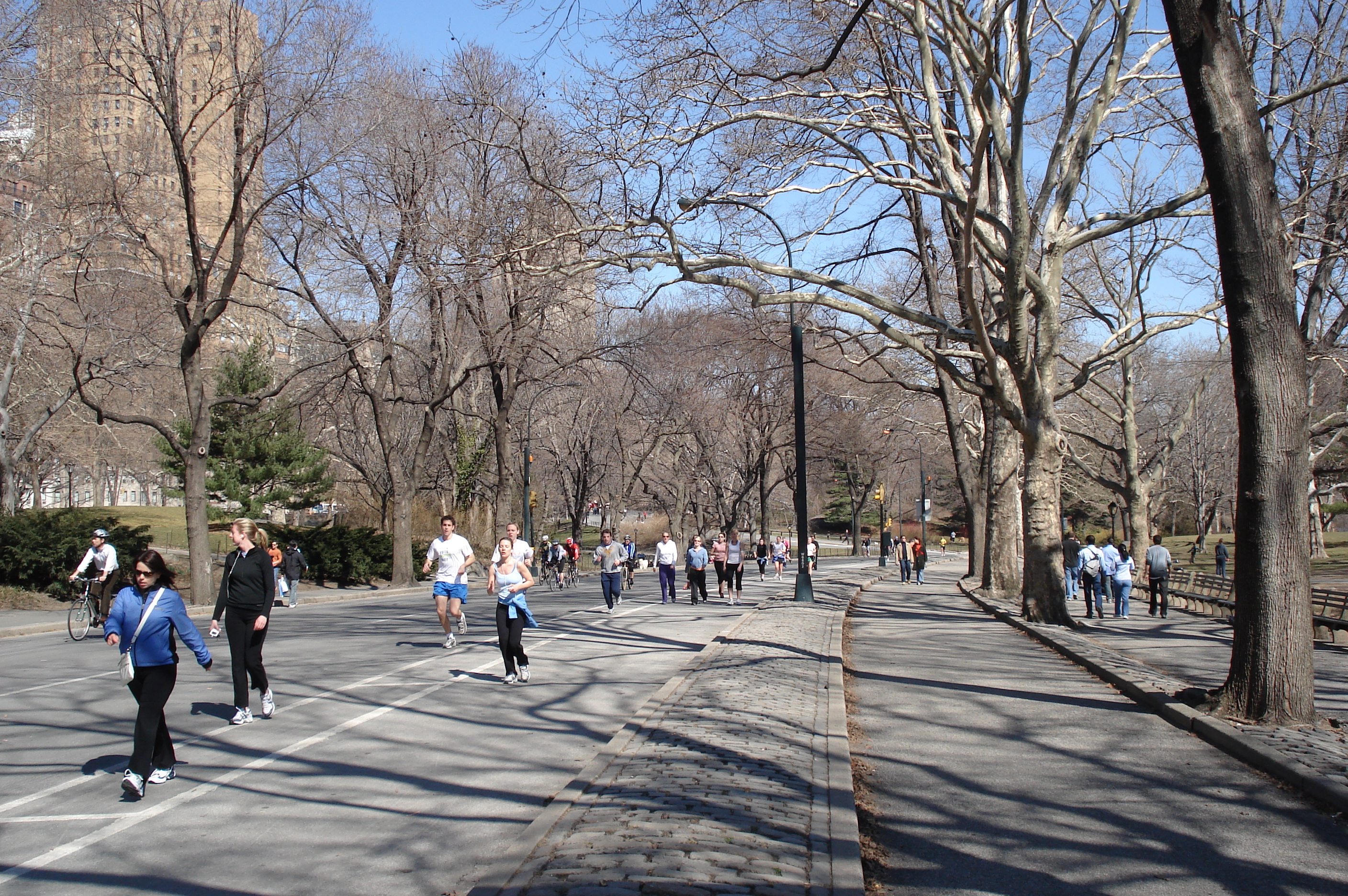 Picture United States New York Central Park 2006-03 30 - Tours Central Park