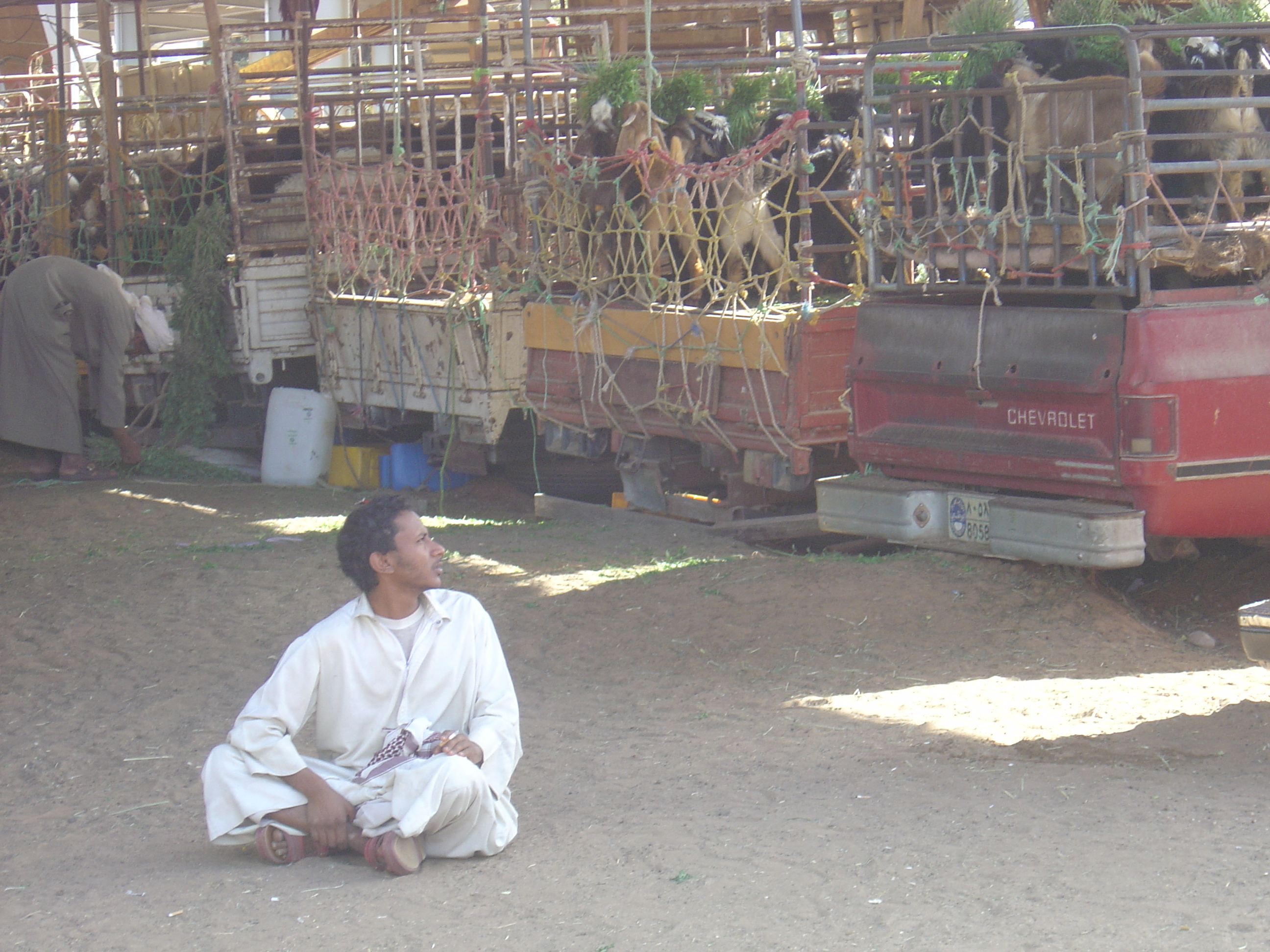 Picture United Arab Emirates Al Ain 2005-03 31 - Tour Al Ain