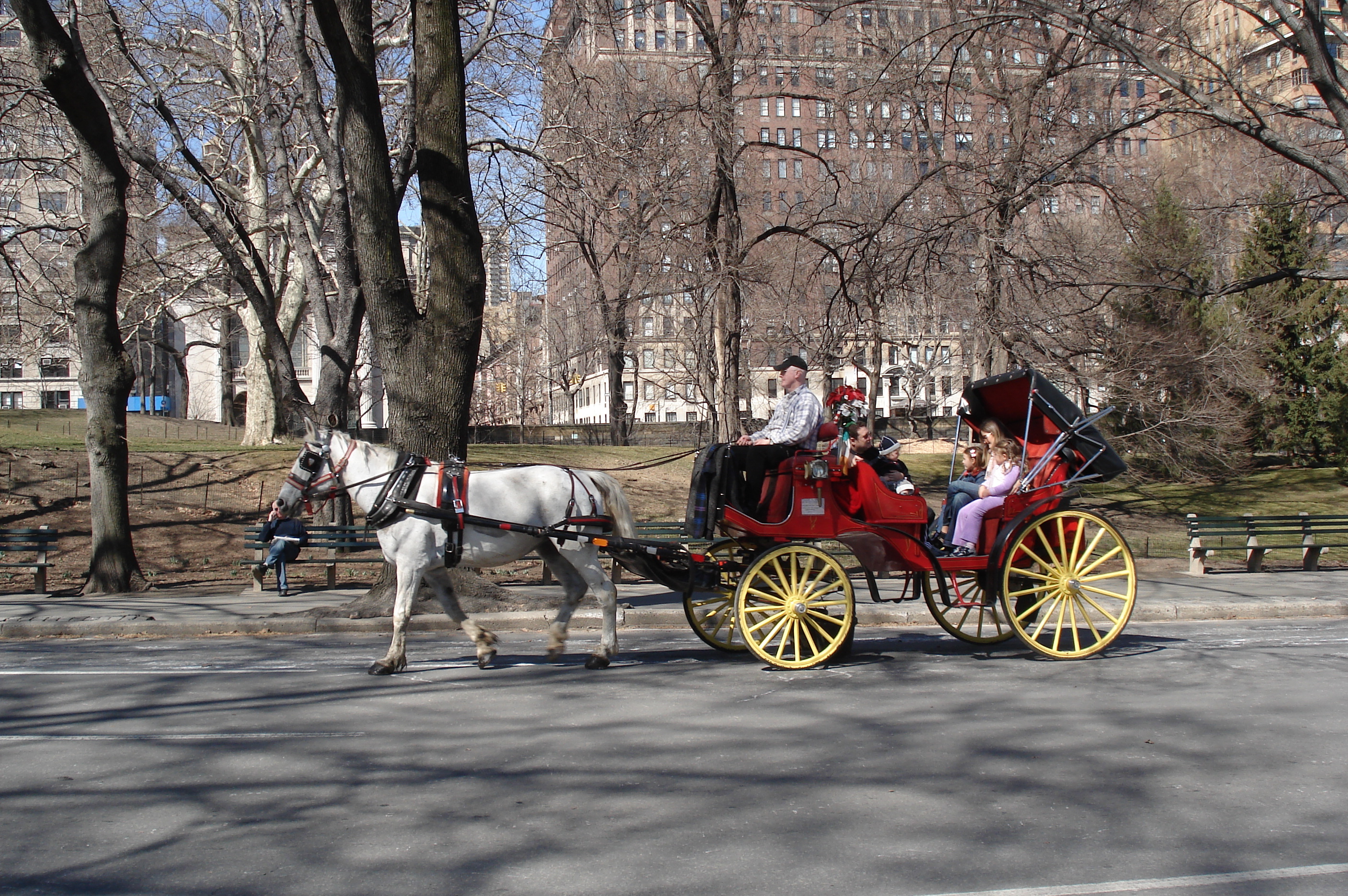 Picture United States New York Central Park 2006-03 28 - Journey Central Park