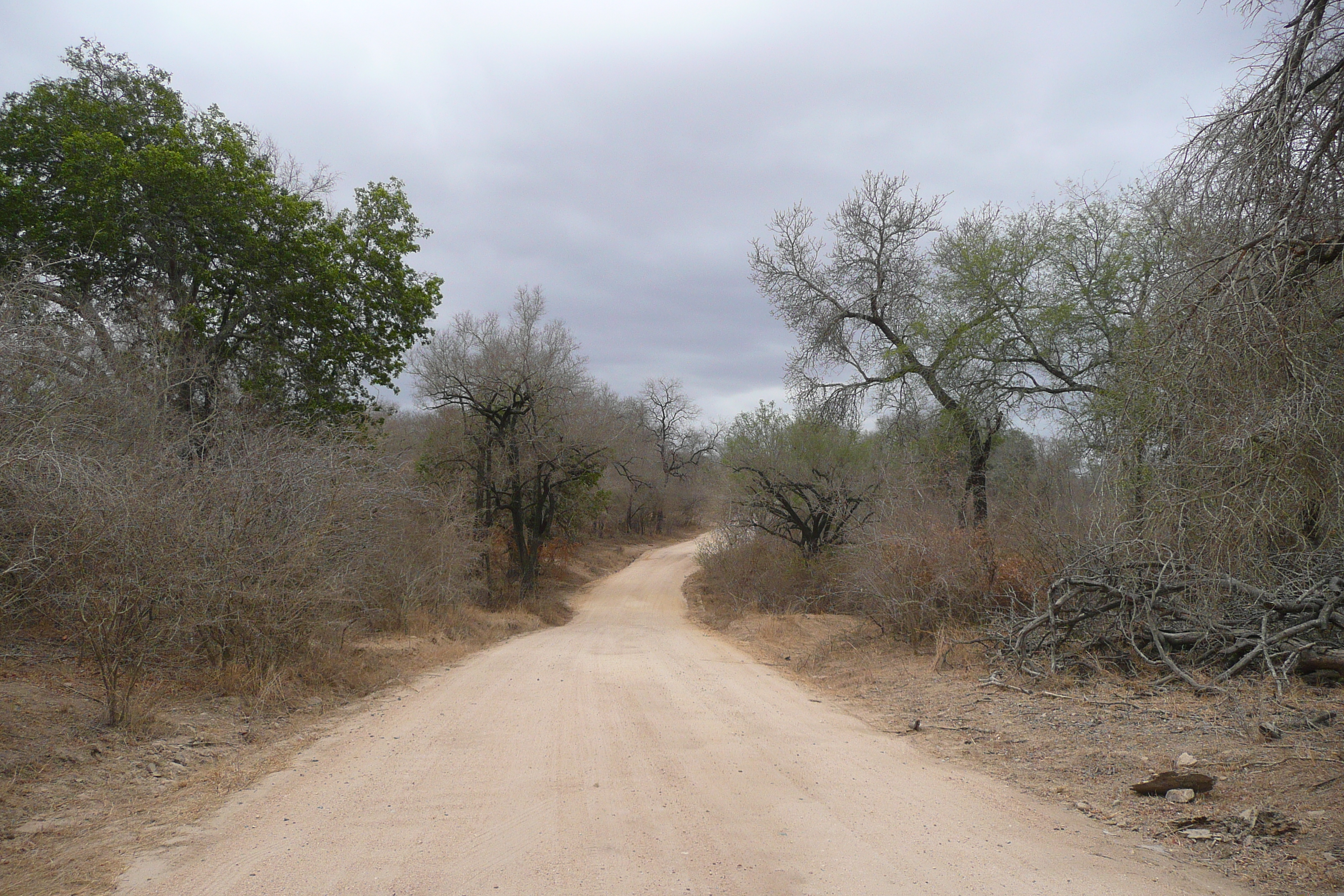 Picture South Africa Kruger National Park Sable River 2008-09 14 - History Sable River