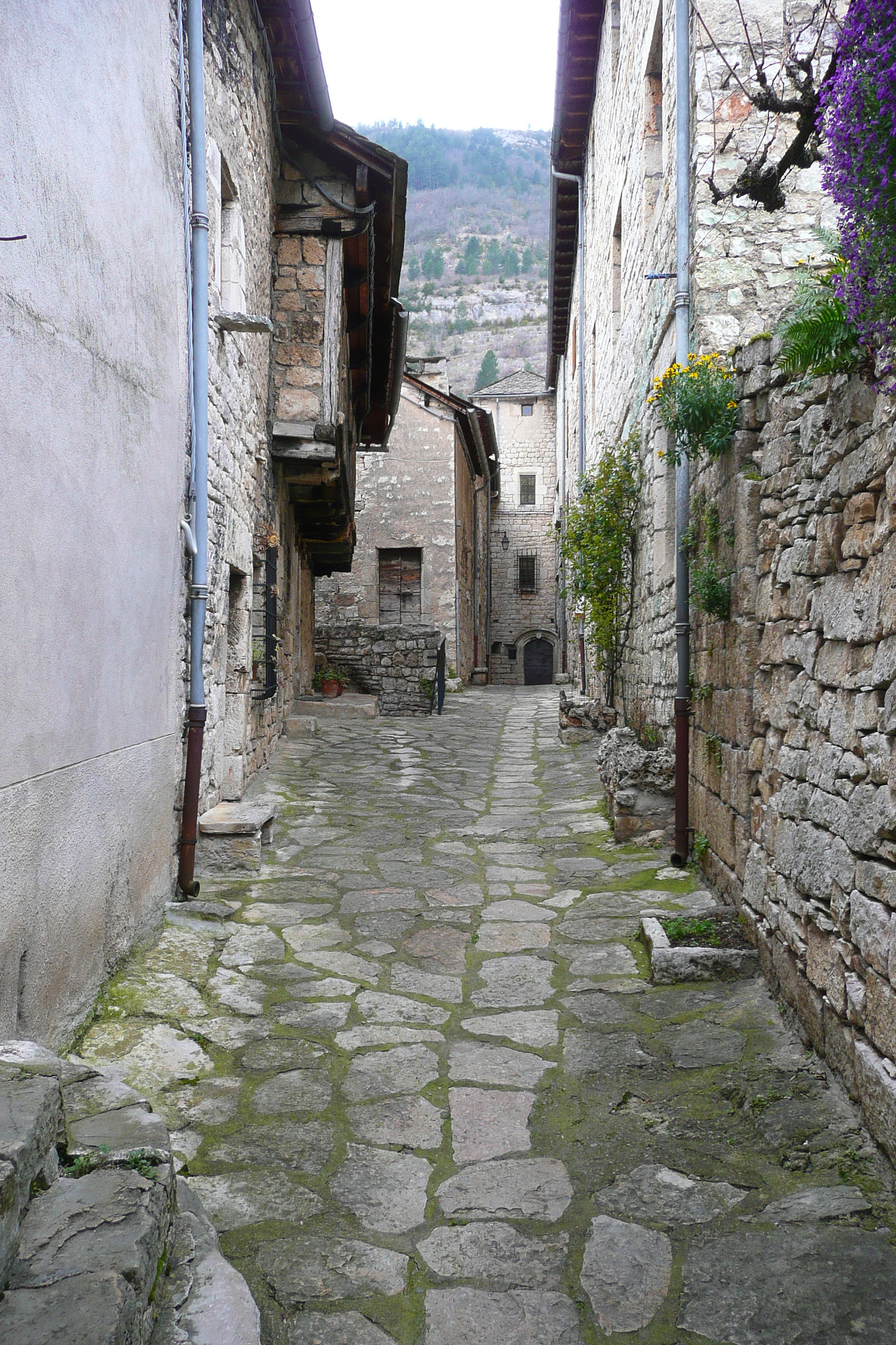 Picture France Sainte Enimie 2008-04 42 - Tour Sainte Enimie