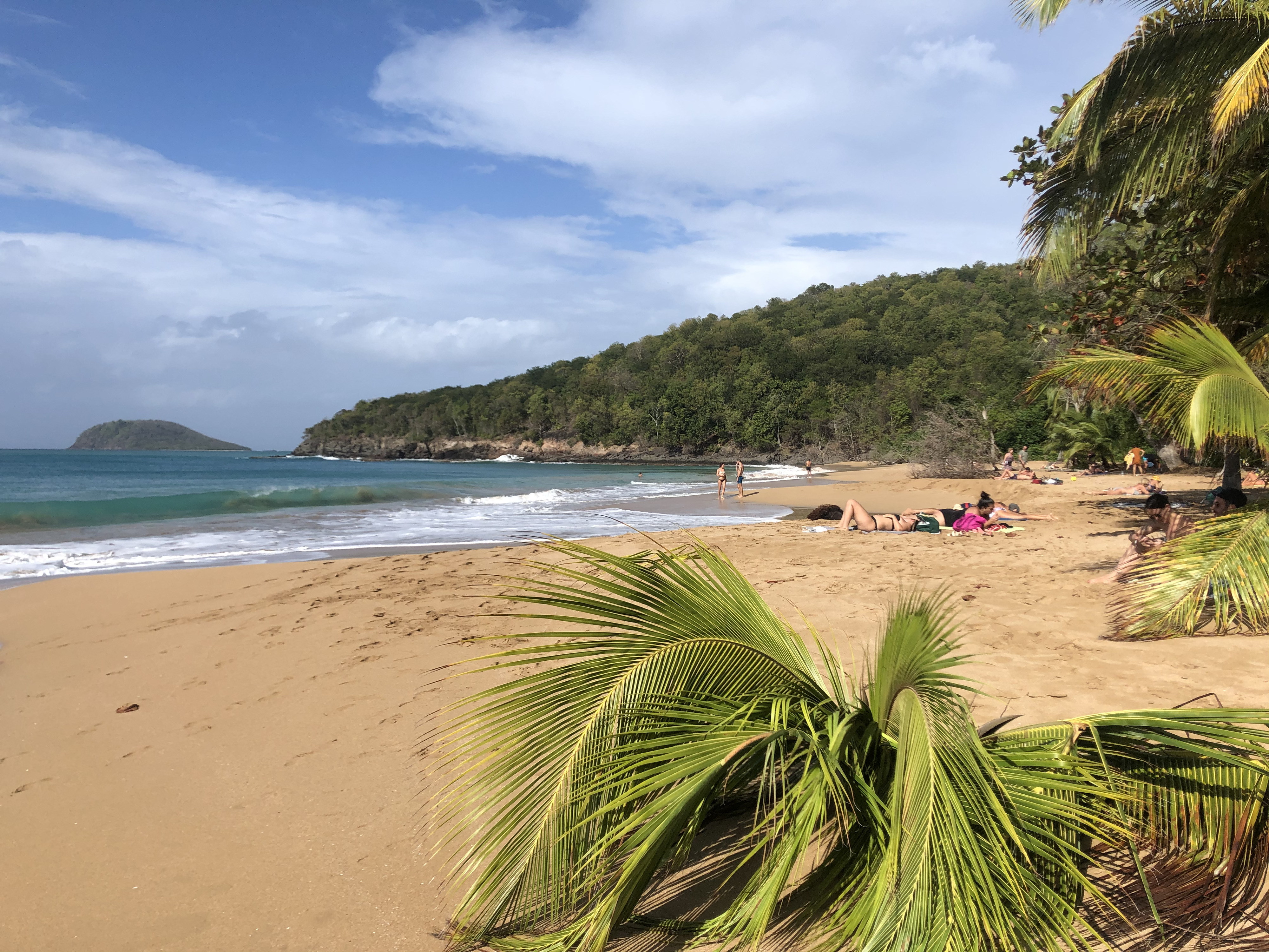 Picture Guadeloupe La Perle Beach 2021-02 42 - Tours La Perle Beach