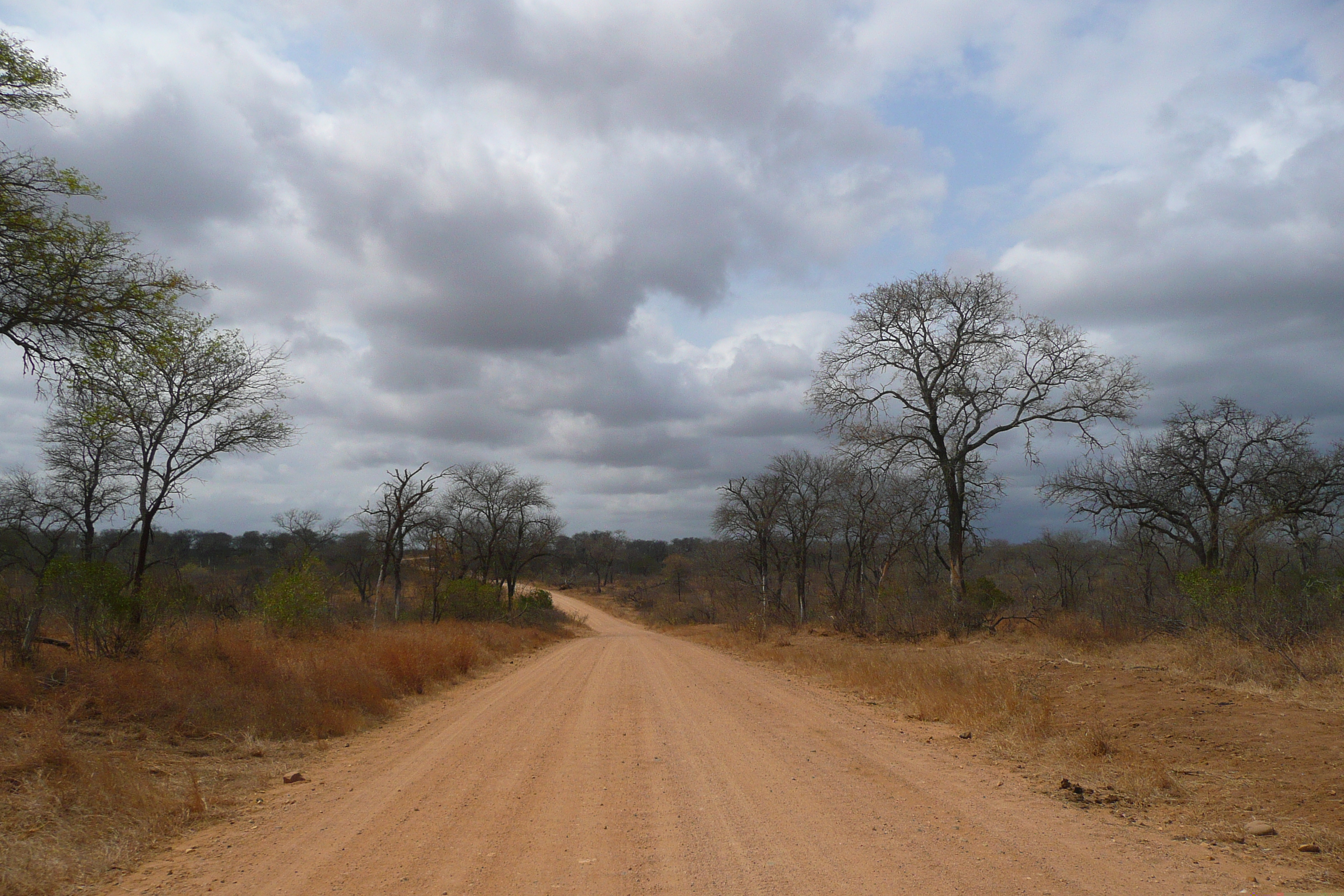 Picture South Africa Kruger National Park Crocodile River road 2008-09 7 - History Crocodile River road