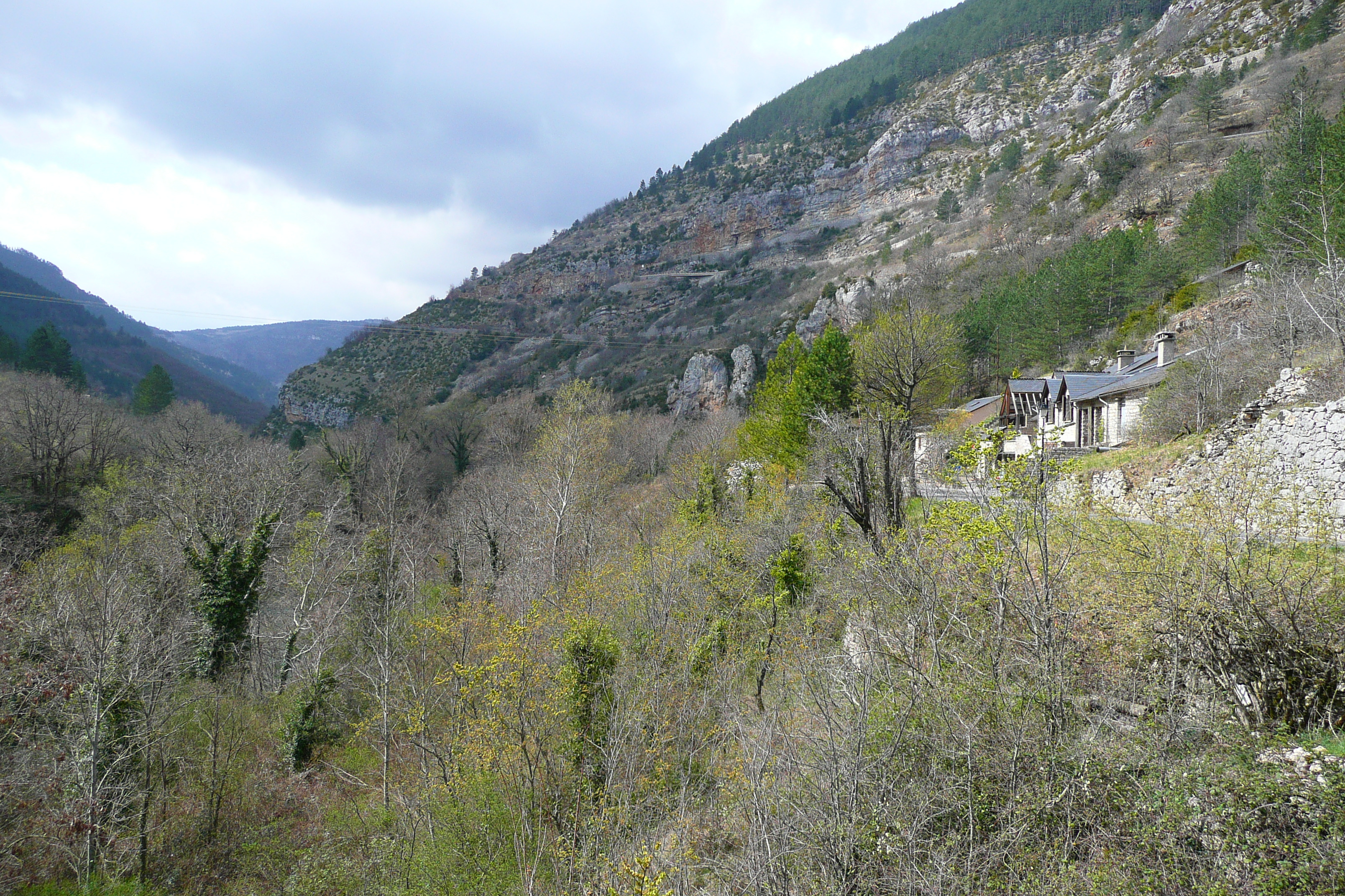 Picture France Gorges du Tarn 2008-04 58 - Around Gorges du Tarn