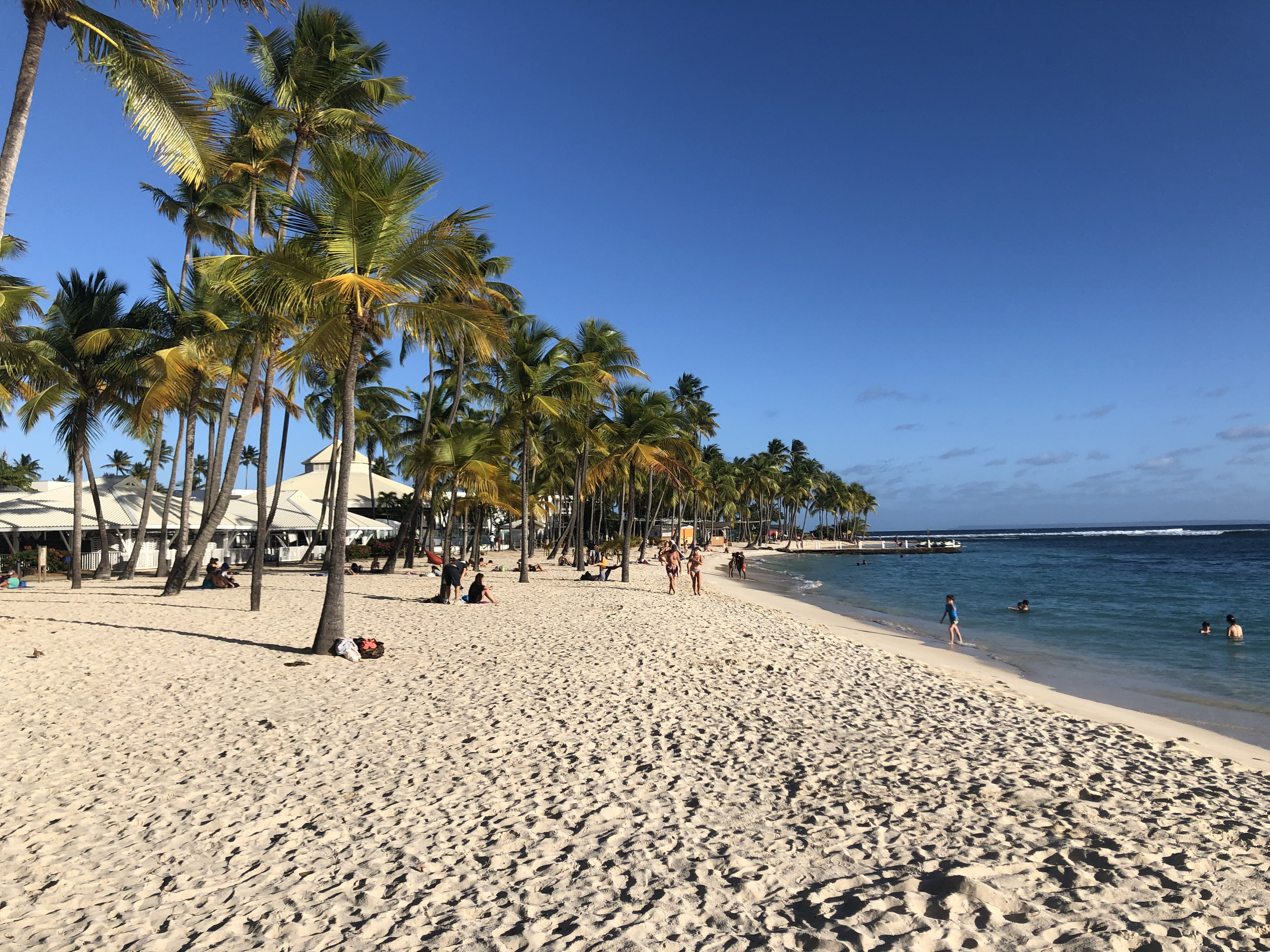 Picture Guadeloupe La Caravelle Beach 2021-02 113 - Center La Caravelle Beach