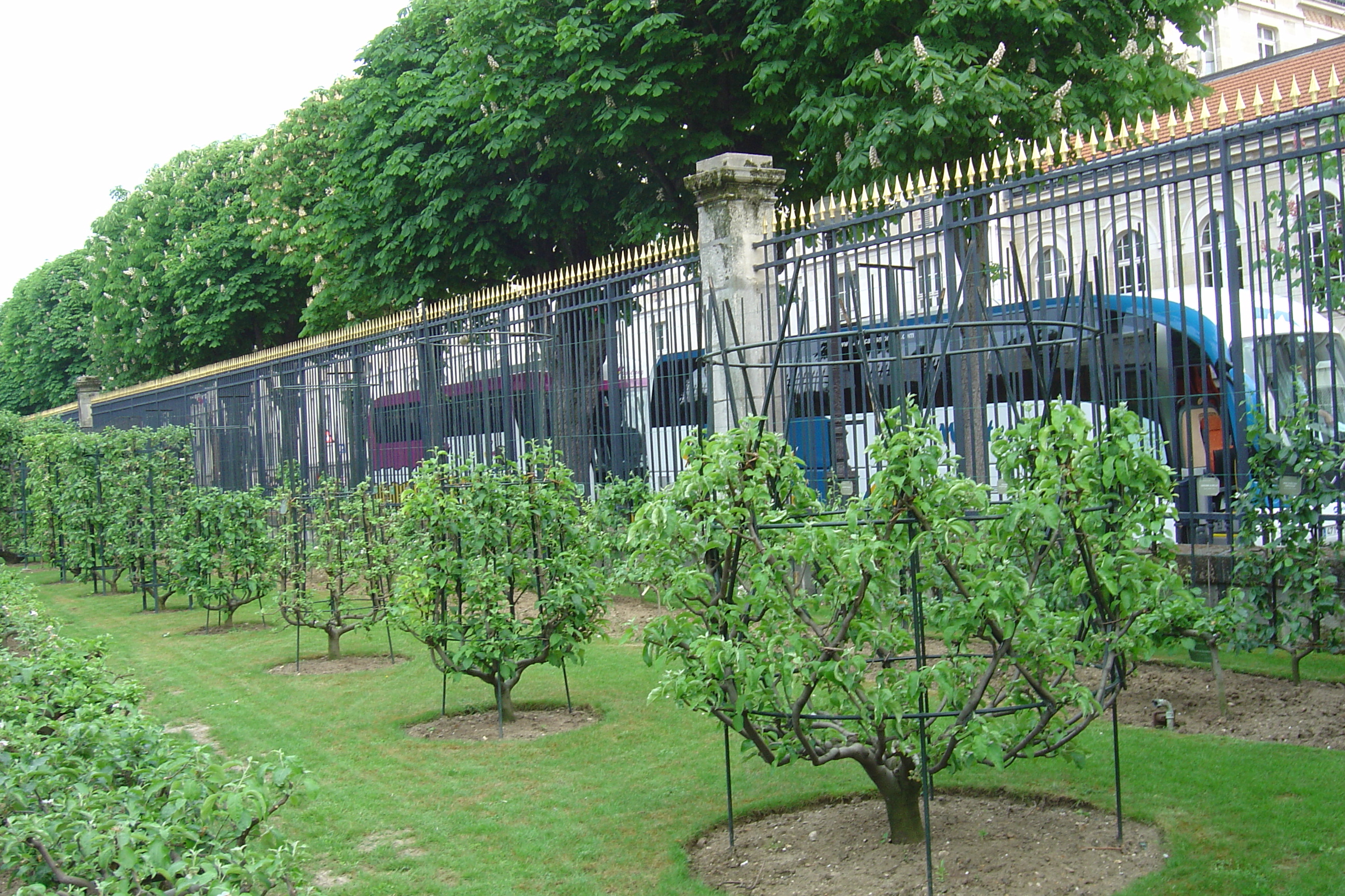 Picture France Paris Luxembourg Garden 2007-04 24 - History Luxembourg Garden