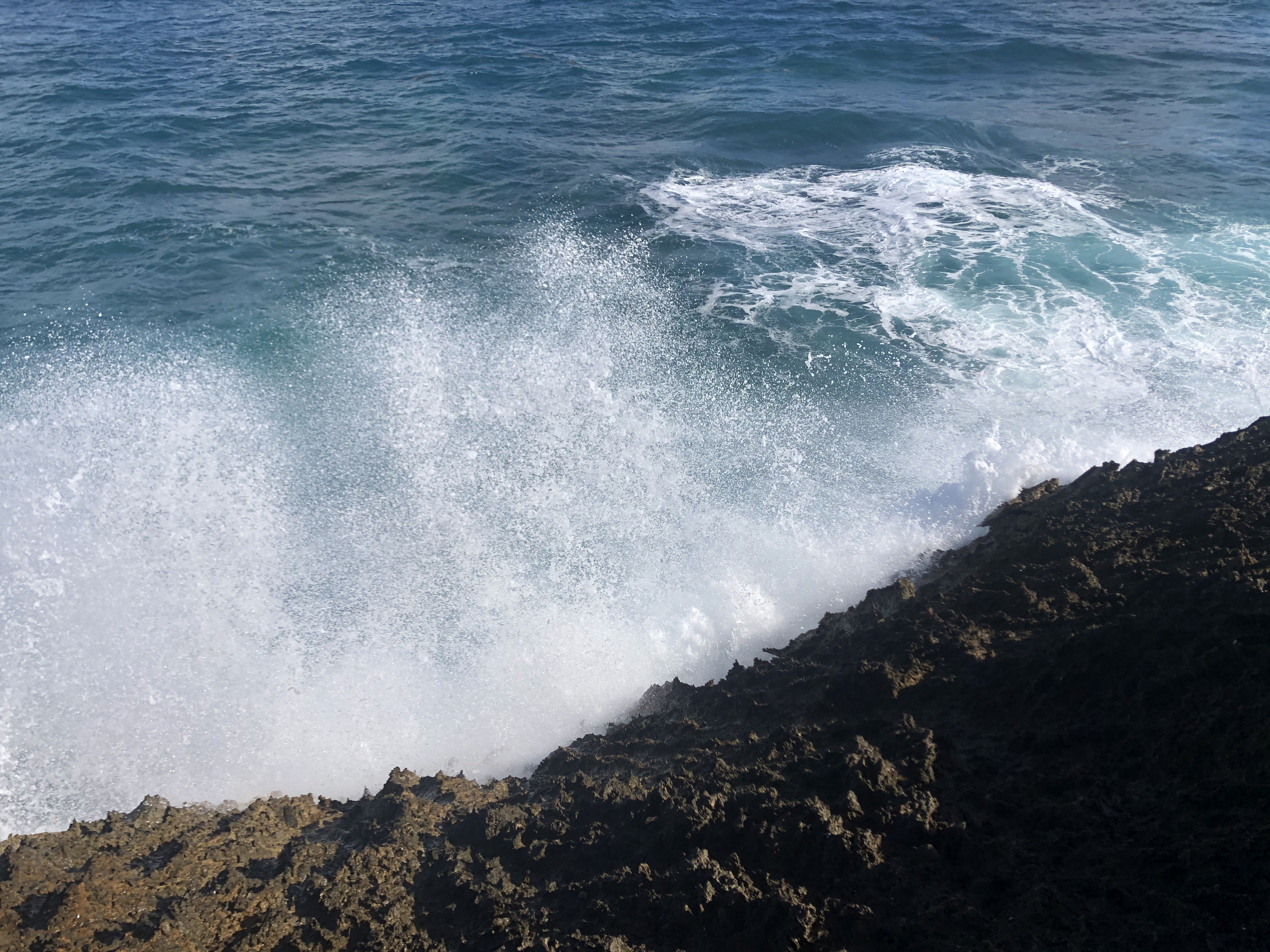 Picture Guadeloupe Castle Point 2021-02 40 - Journey Castle Point