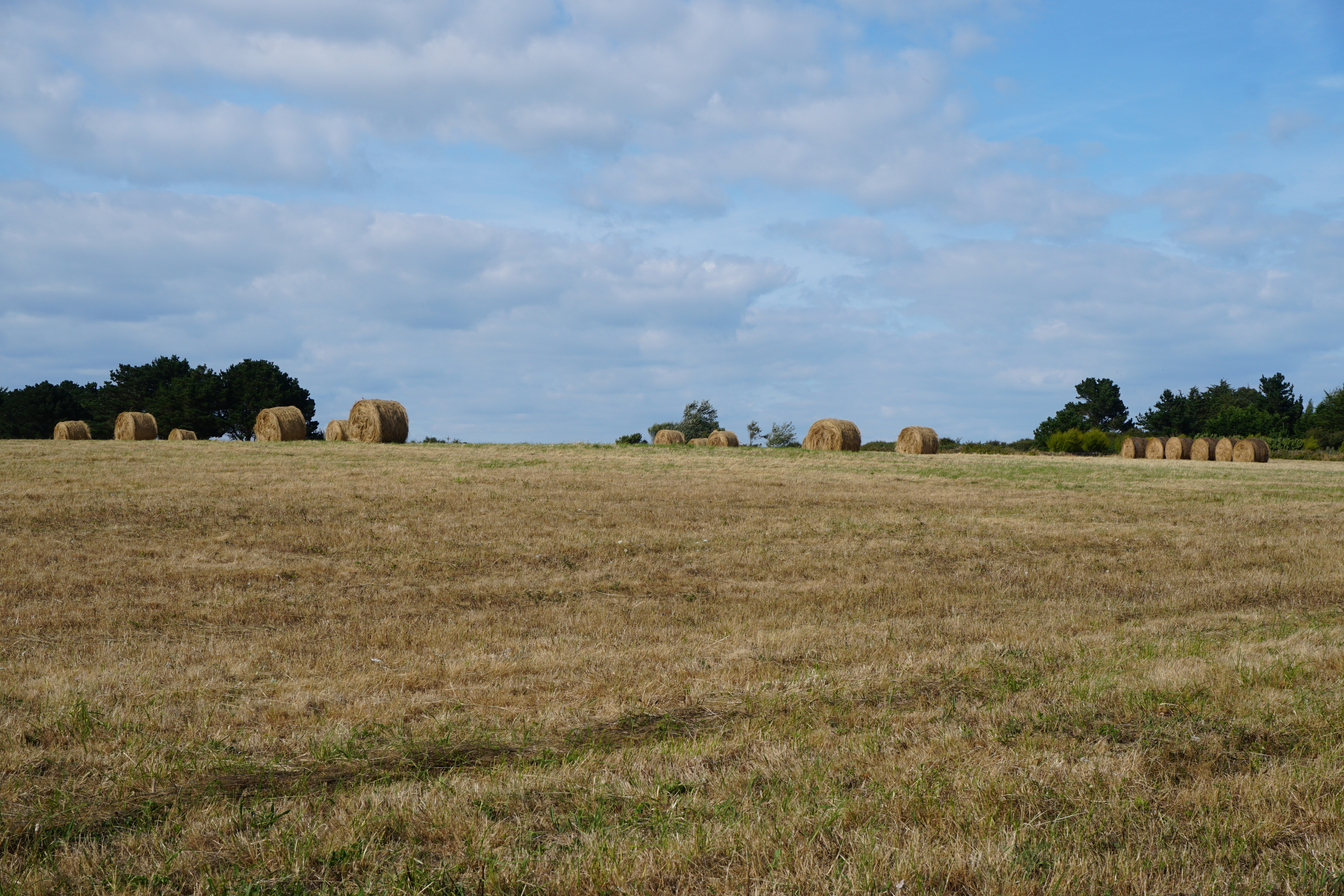 Picture France Belle-Ile 2016-08 200 - Center Belle-Ile