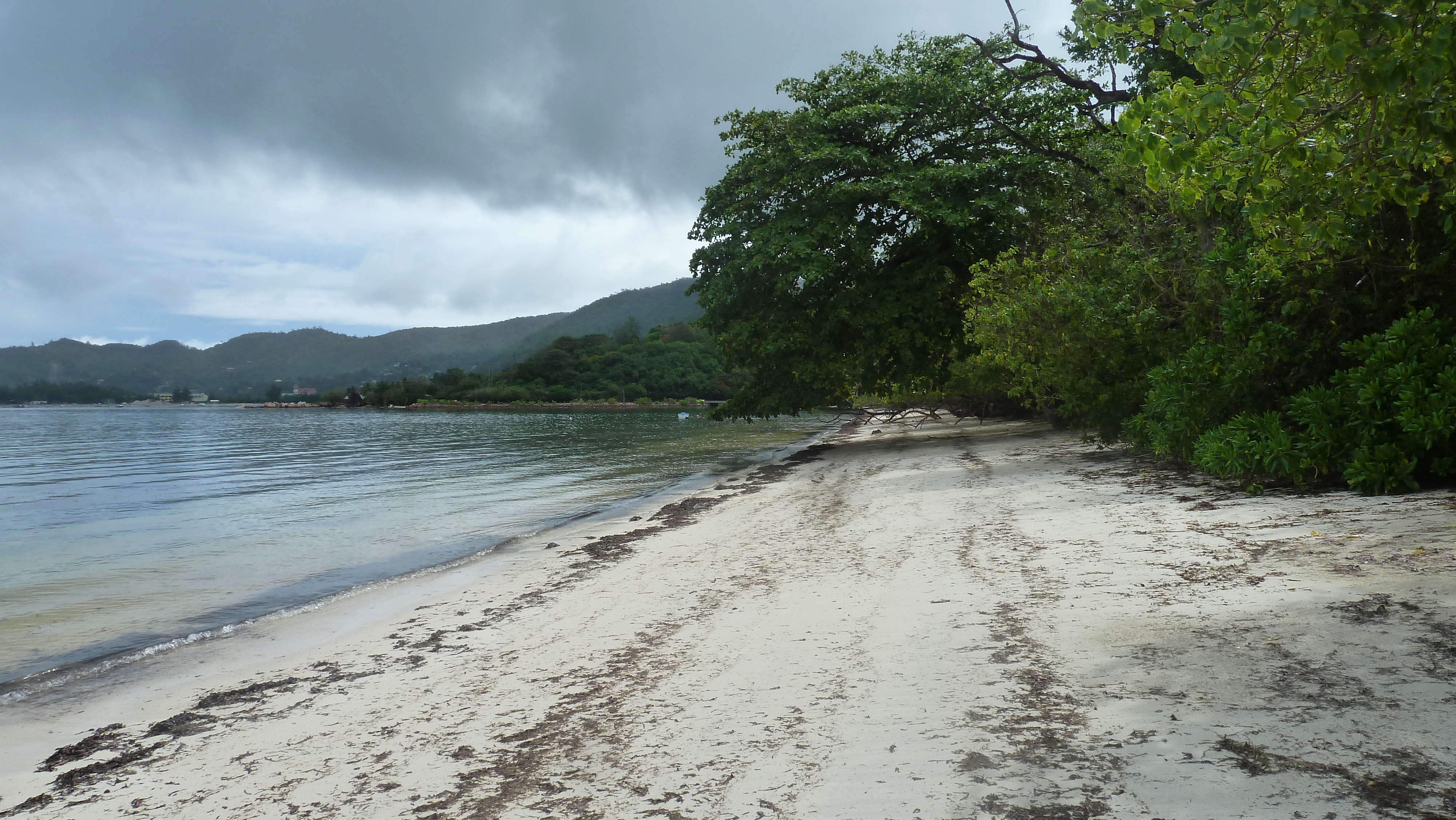 Picture Seychelles Praslin 2011-10 63 - Tours Praslin