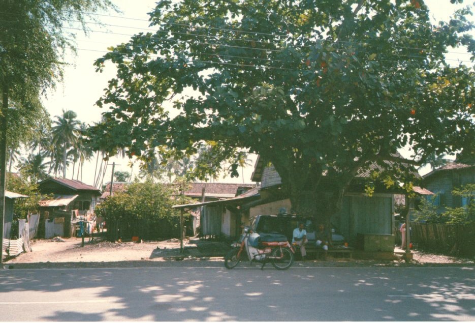 Picture Malaysia 1994-02 10 - Journey Malaysia