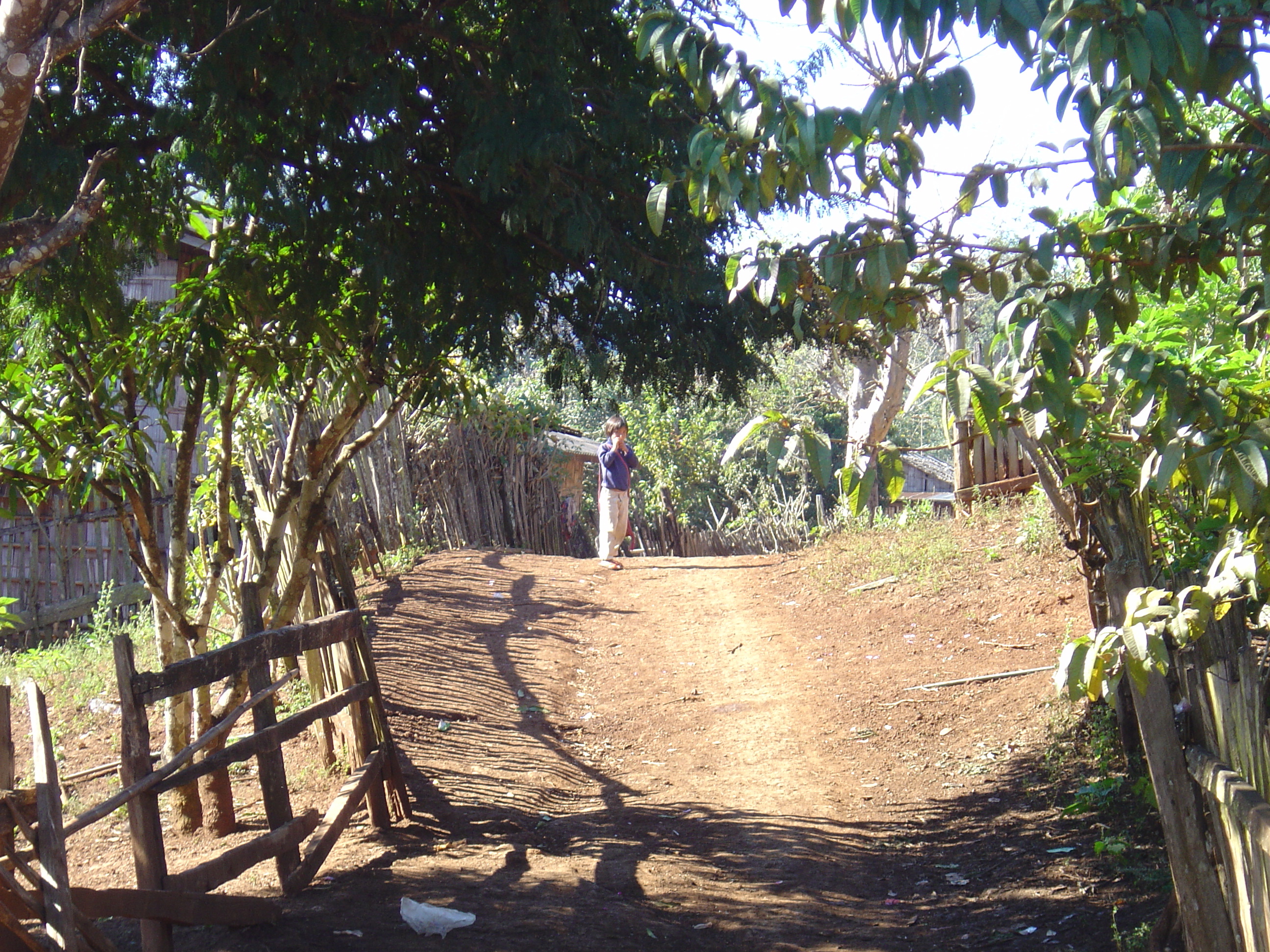 Picture Thailand Pang ma pha 2005-12 84 - Journey Pang ma pha