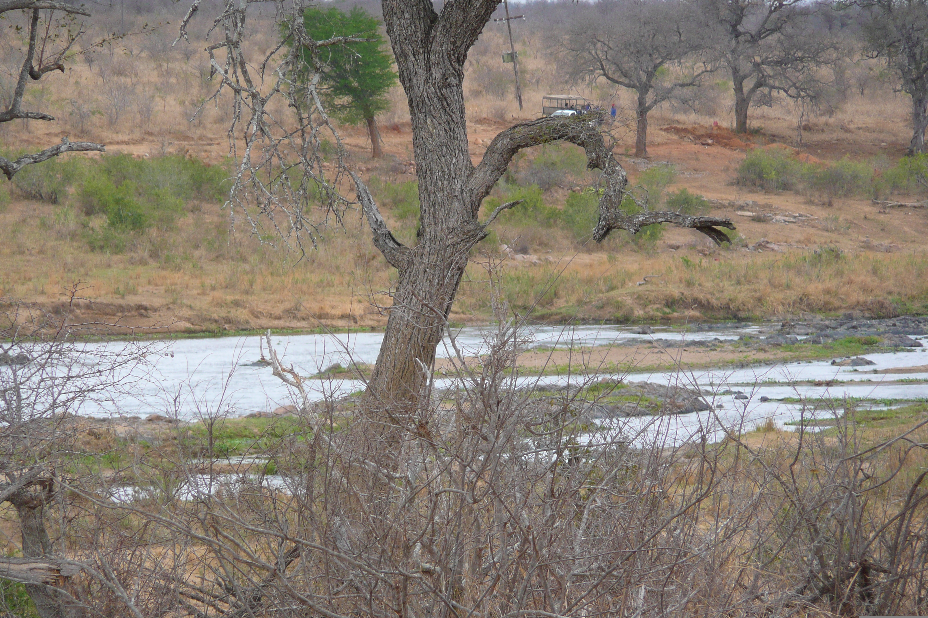 Picture South Africa Kruger National Park Crocodile River 2008-09 10 - Discovery Crocodile River