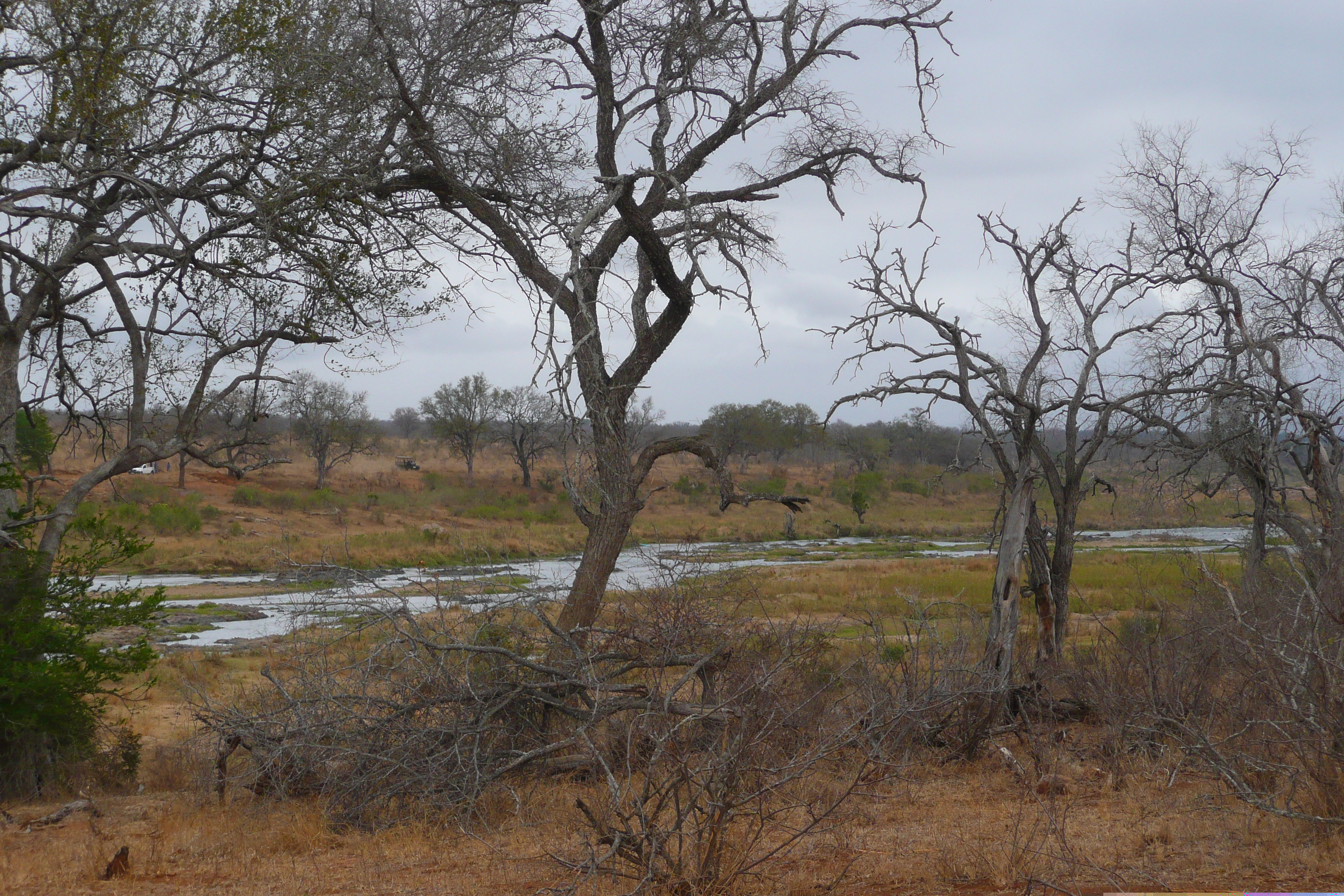 Picture South Africa Kruger National Park Crocodile River 2008-09 3 - Tours Crocodile River