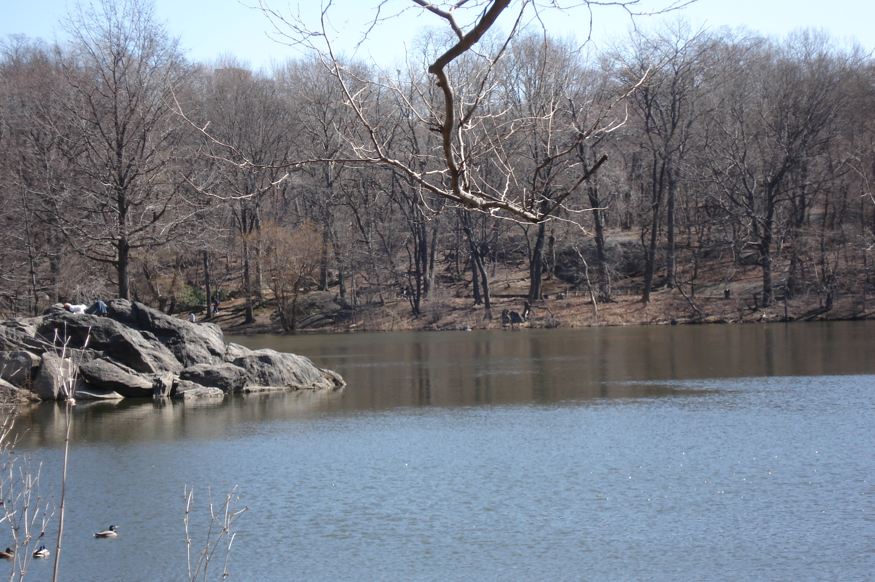 Picture United States New York Central Park 2006-03 21 - Journey Central Park