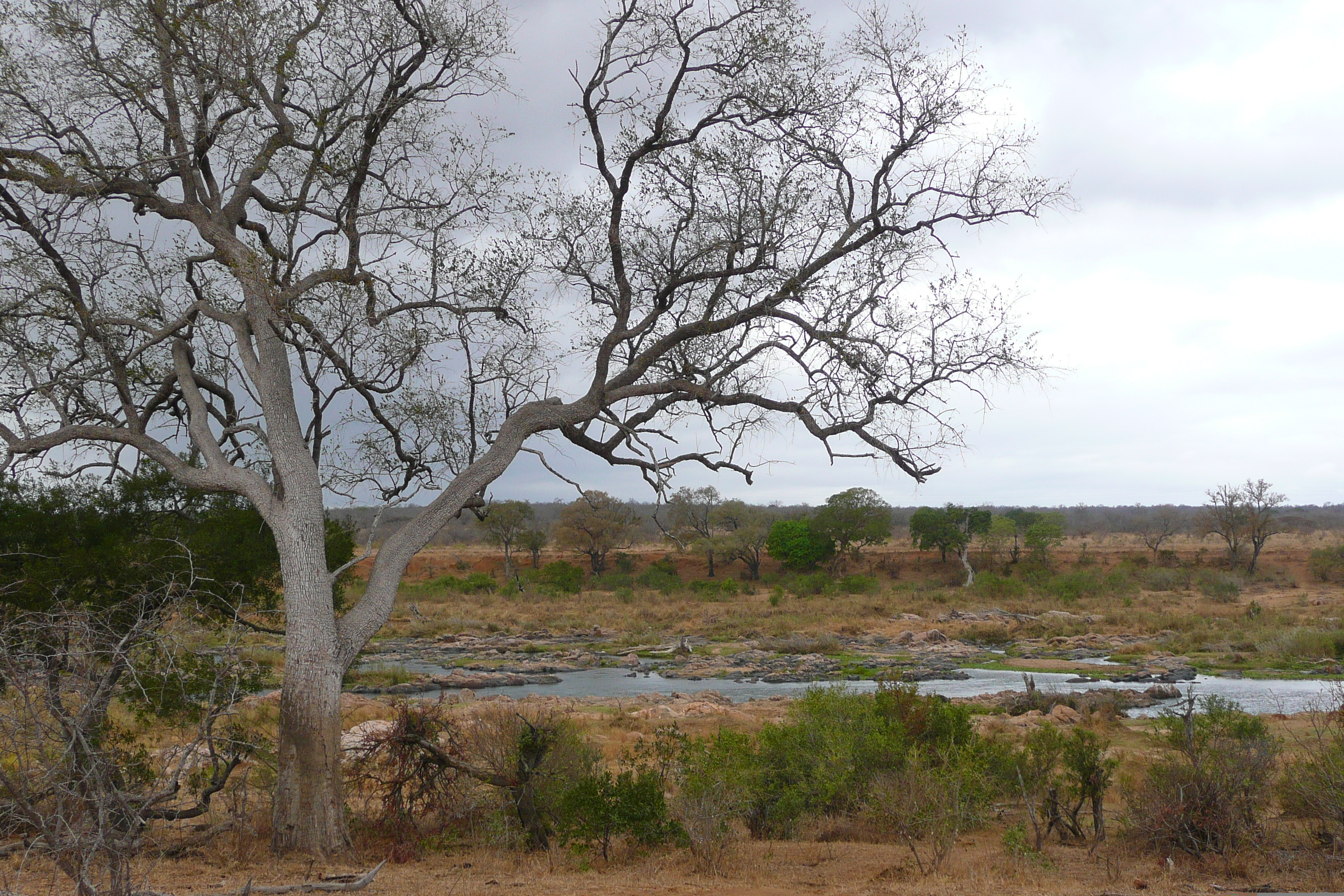 Picture South Africa Kruger National Park Crocodile River 2008-09 4 - Journey Crocodile River