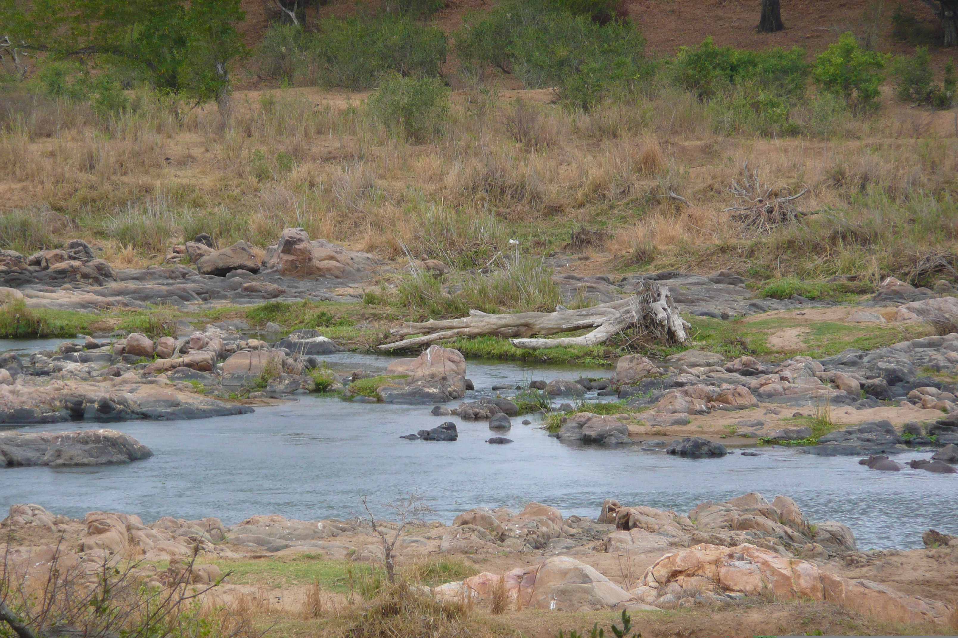 Picture South Africa Kruger National Park Crocodile River 2008-09 23 - History Crocodile River