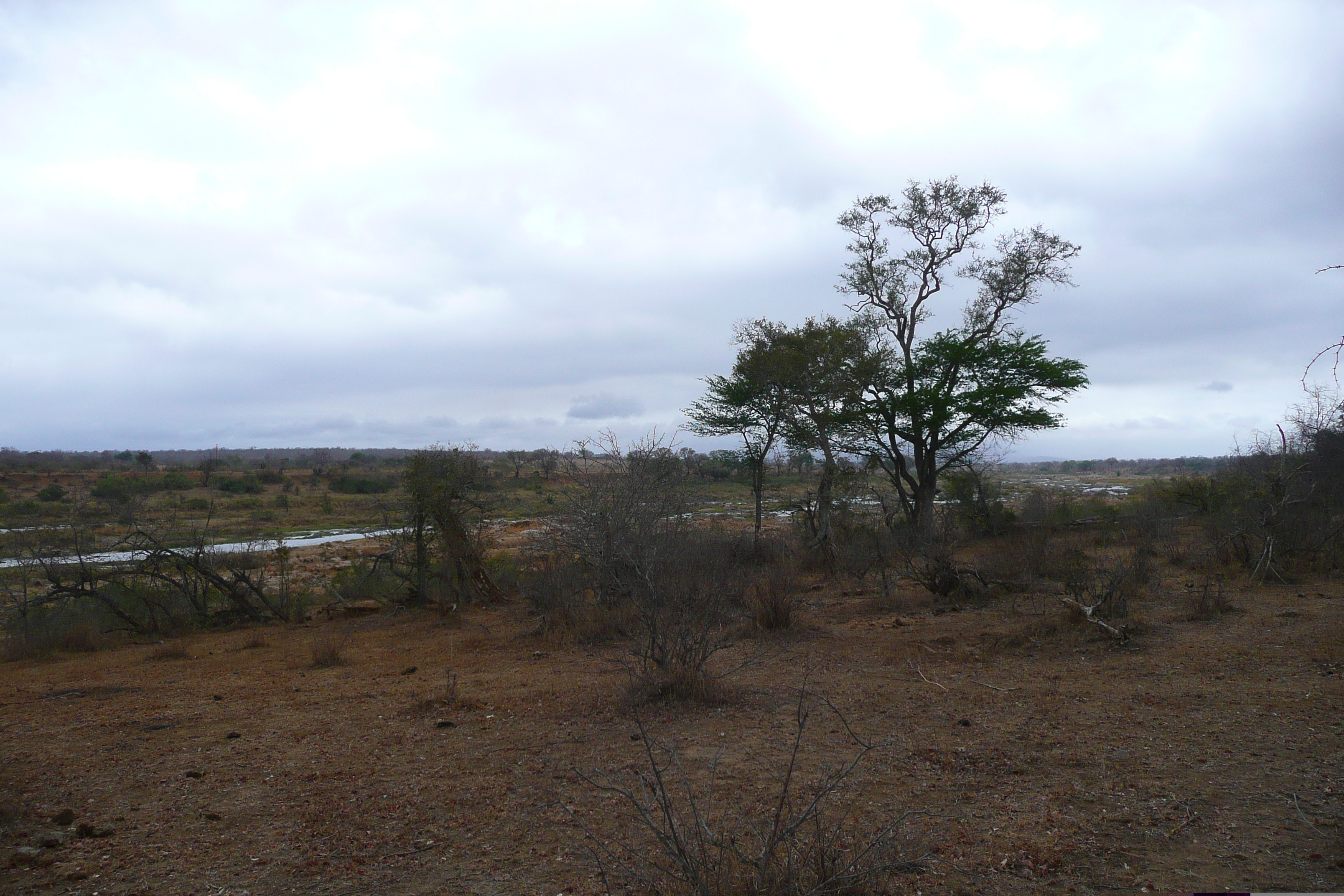 Picture South Africa Kruger National Park Crocodile River 2008-09 22 - Tours Crocodile River