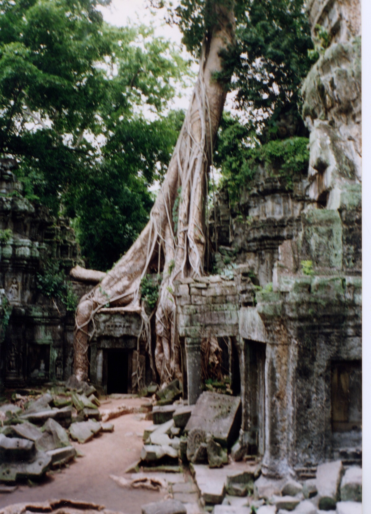 Picture Cambodia Angkor 1996-06 23 - Tours Angkor