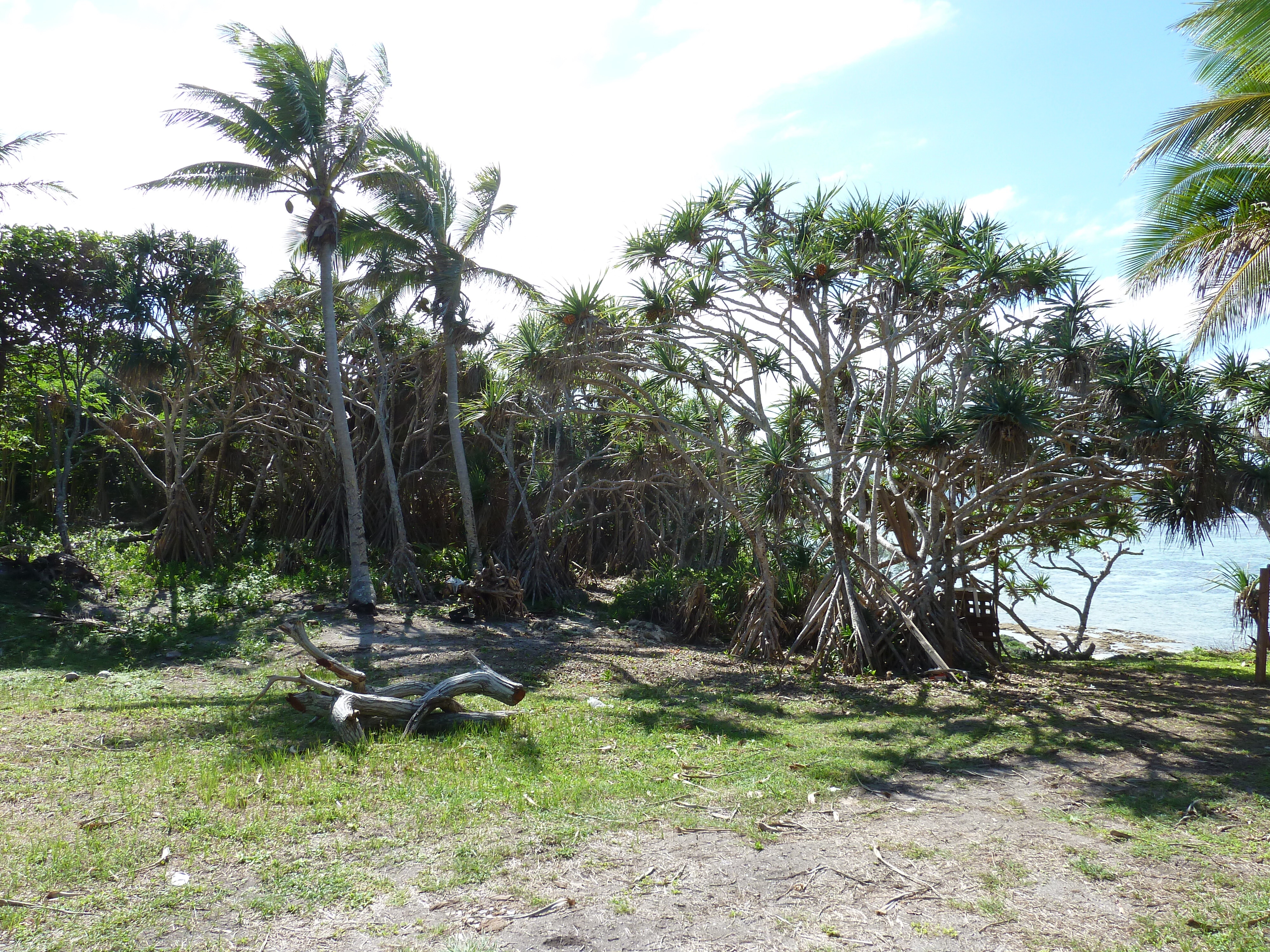 Picture New Caledonia Lifou Mu 2010-05 5 - Tour Mu