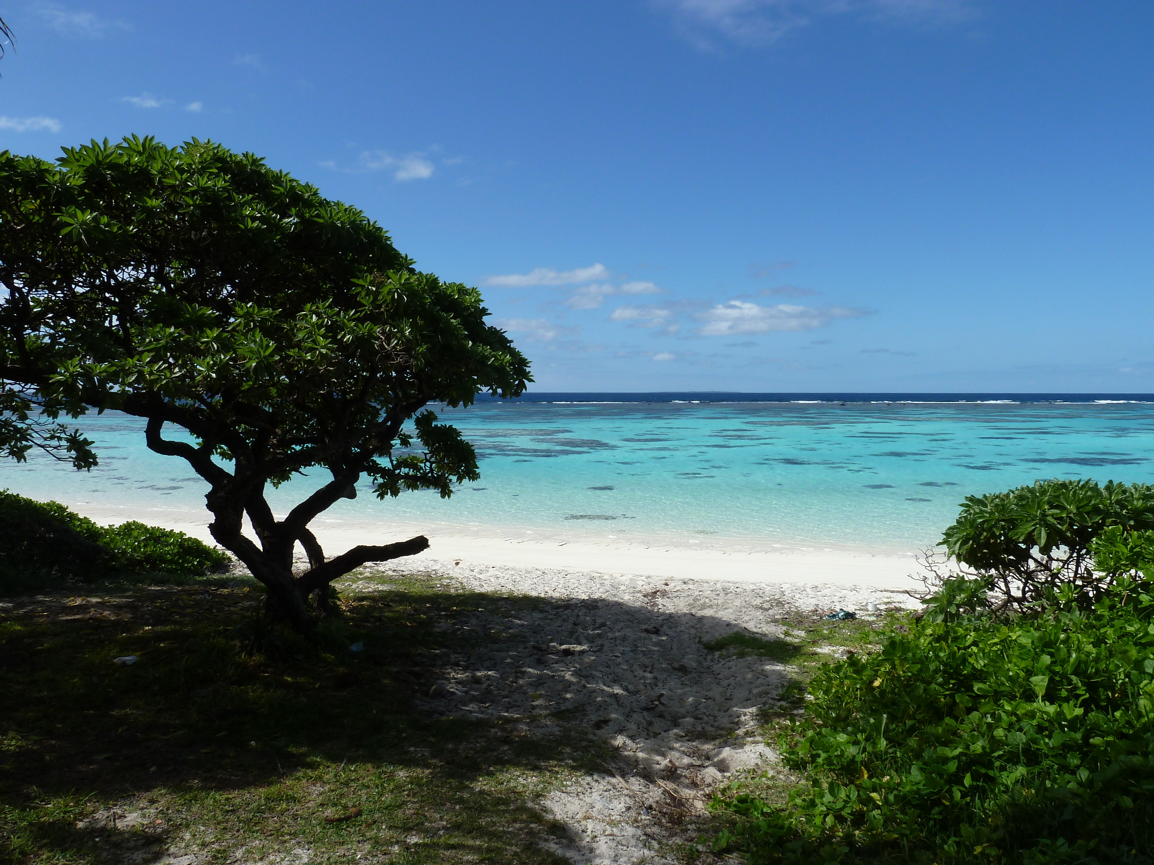 Picture New Caledonia 2010-05 14 - Discovery New Caledonia