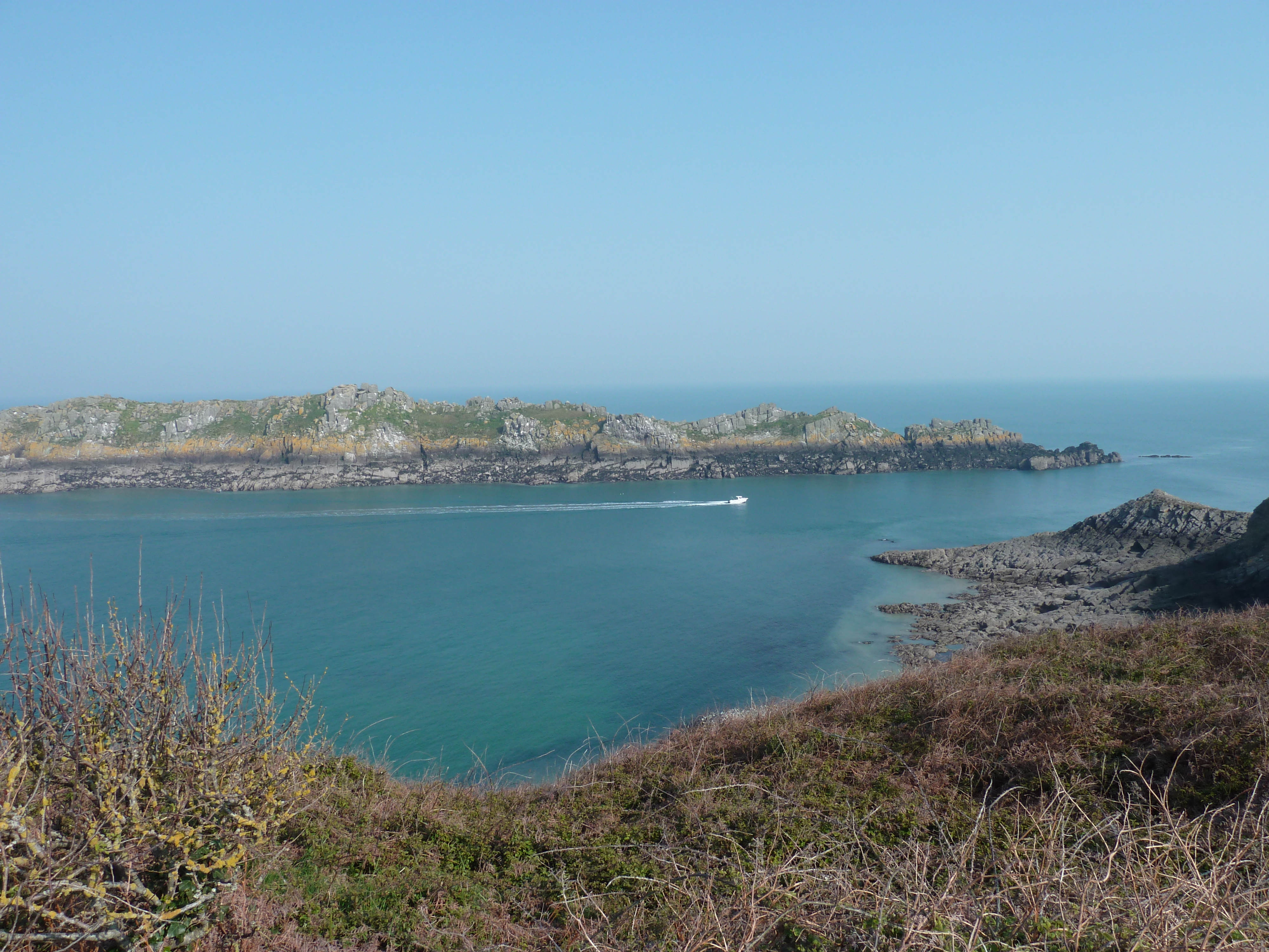 Picture France Grouin Point 2010-04 44 - Around Grouin Point