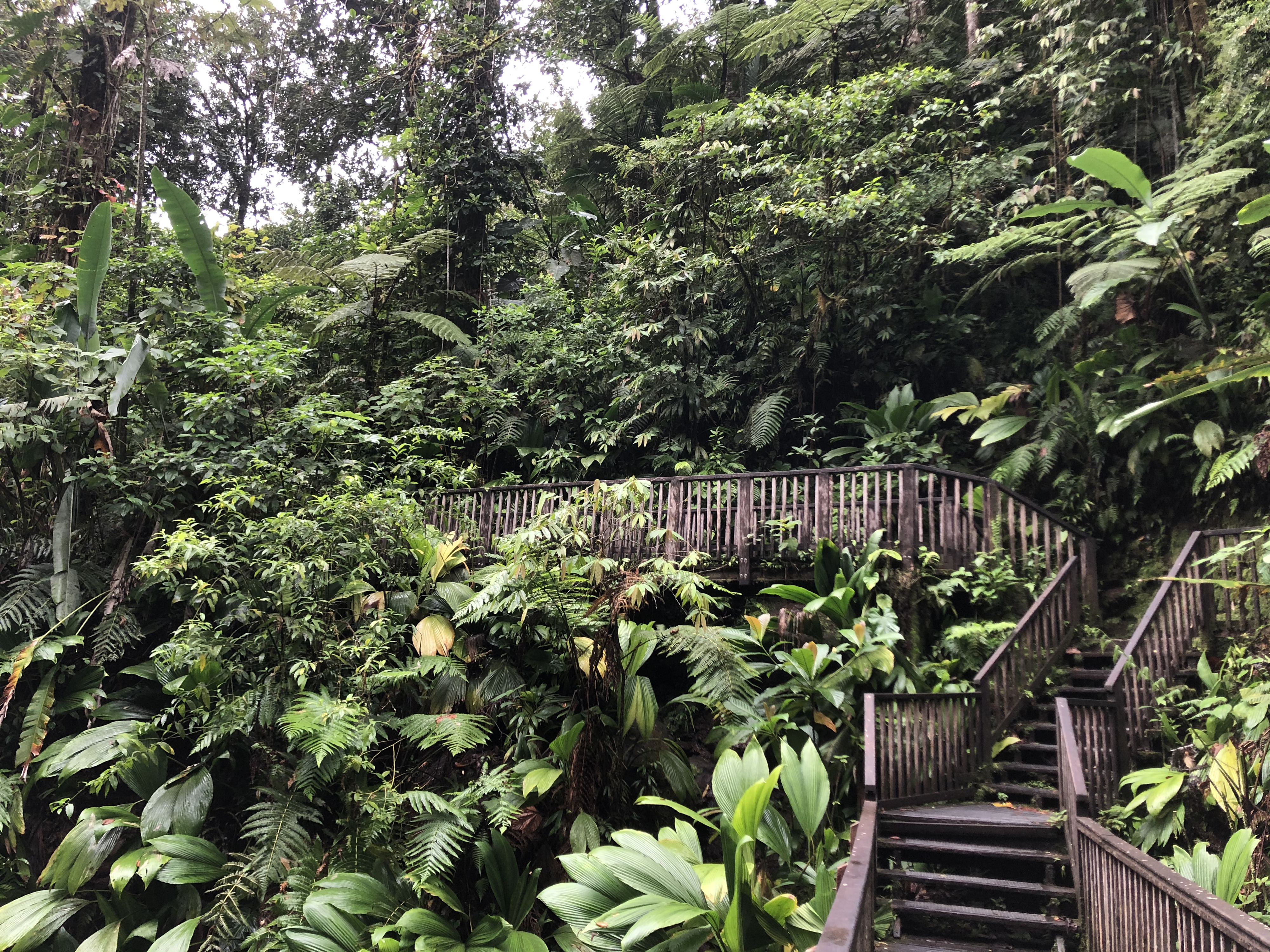 Picture Guadeloupe Carbet Falls 2021-02 57 - Journey Carbet Falls