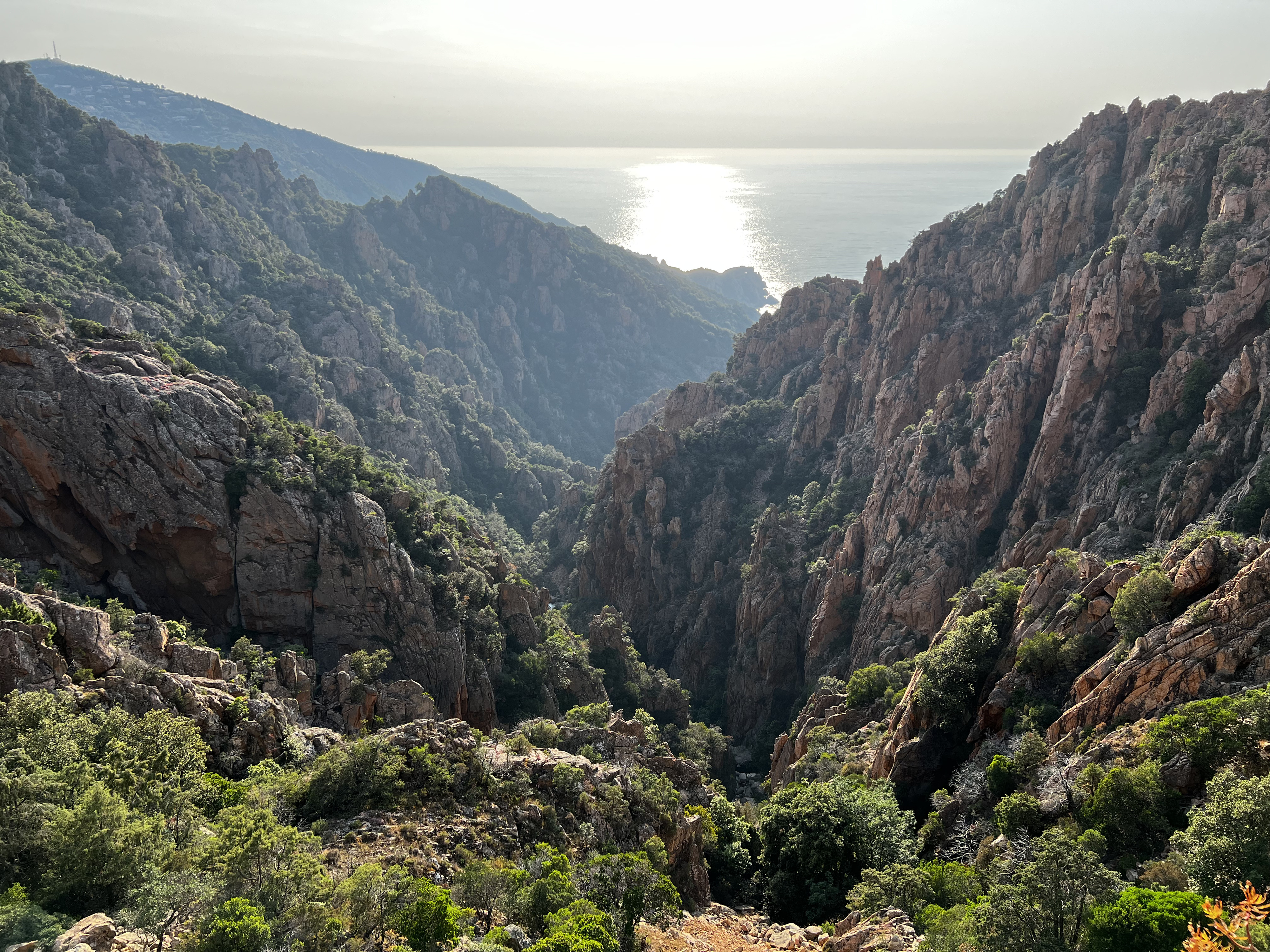 Picture France Corsica Calanques de Piana 2023-06 30 - Tour Calanques de Piana