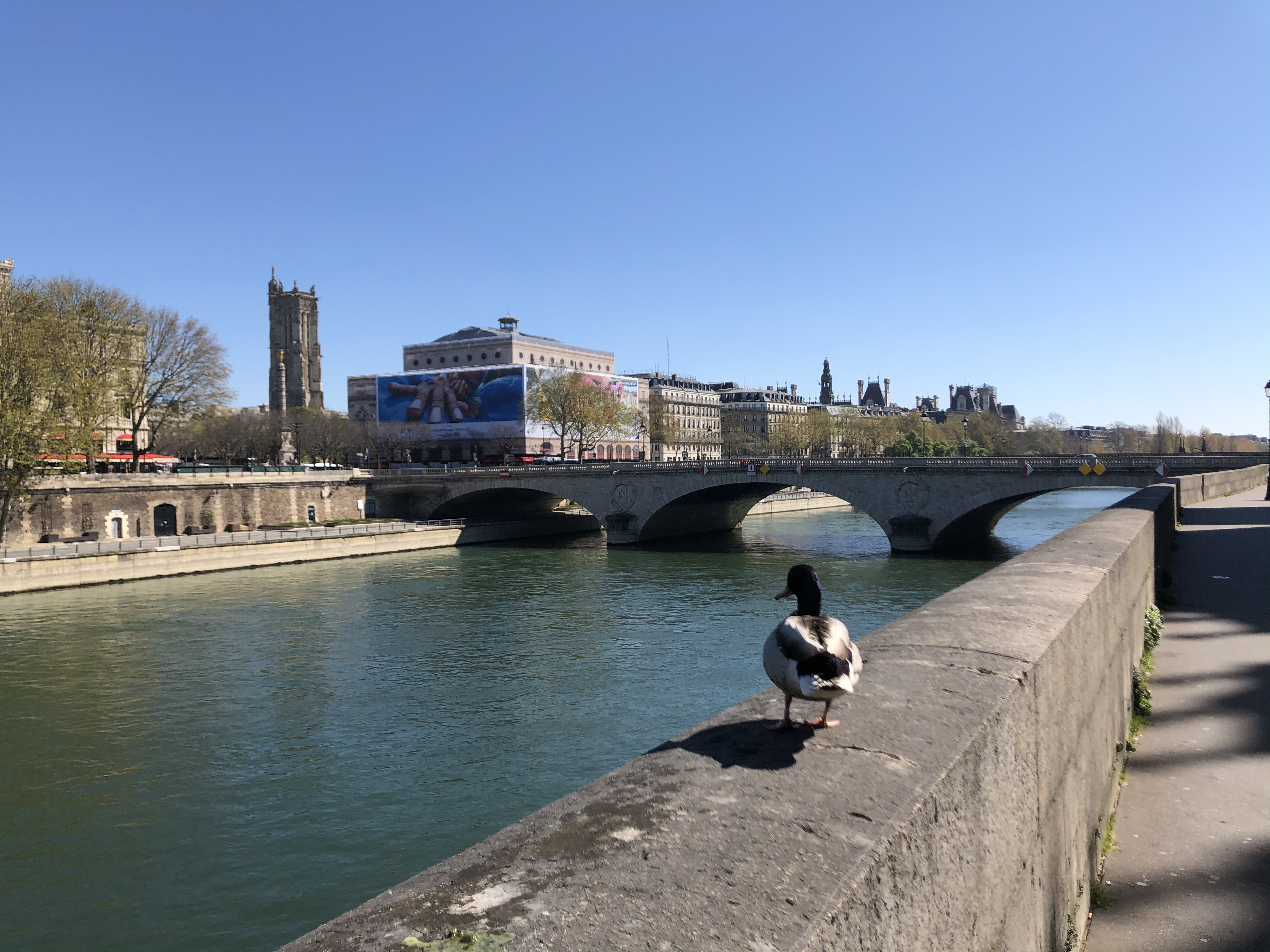 Picture France Paris lockdown 2020-04 101 - Journey Paris lockdown