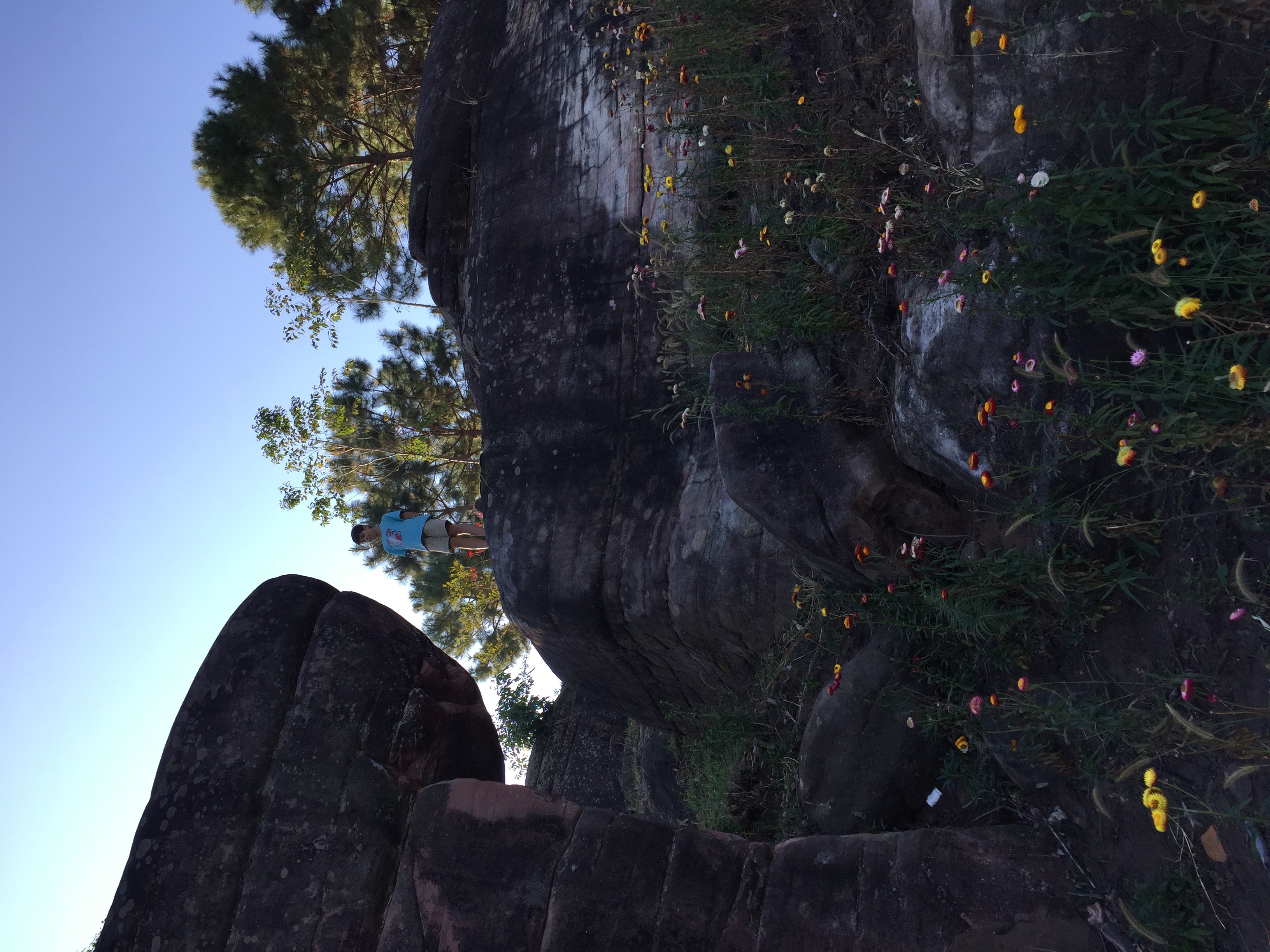 Picture Thailand Phu Hin Rong Kla National Park 2014-12 175 - Recreation Phu Hin Rong Kla National Park