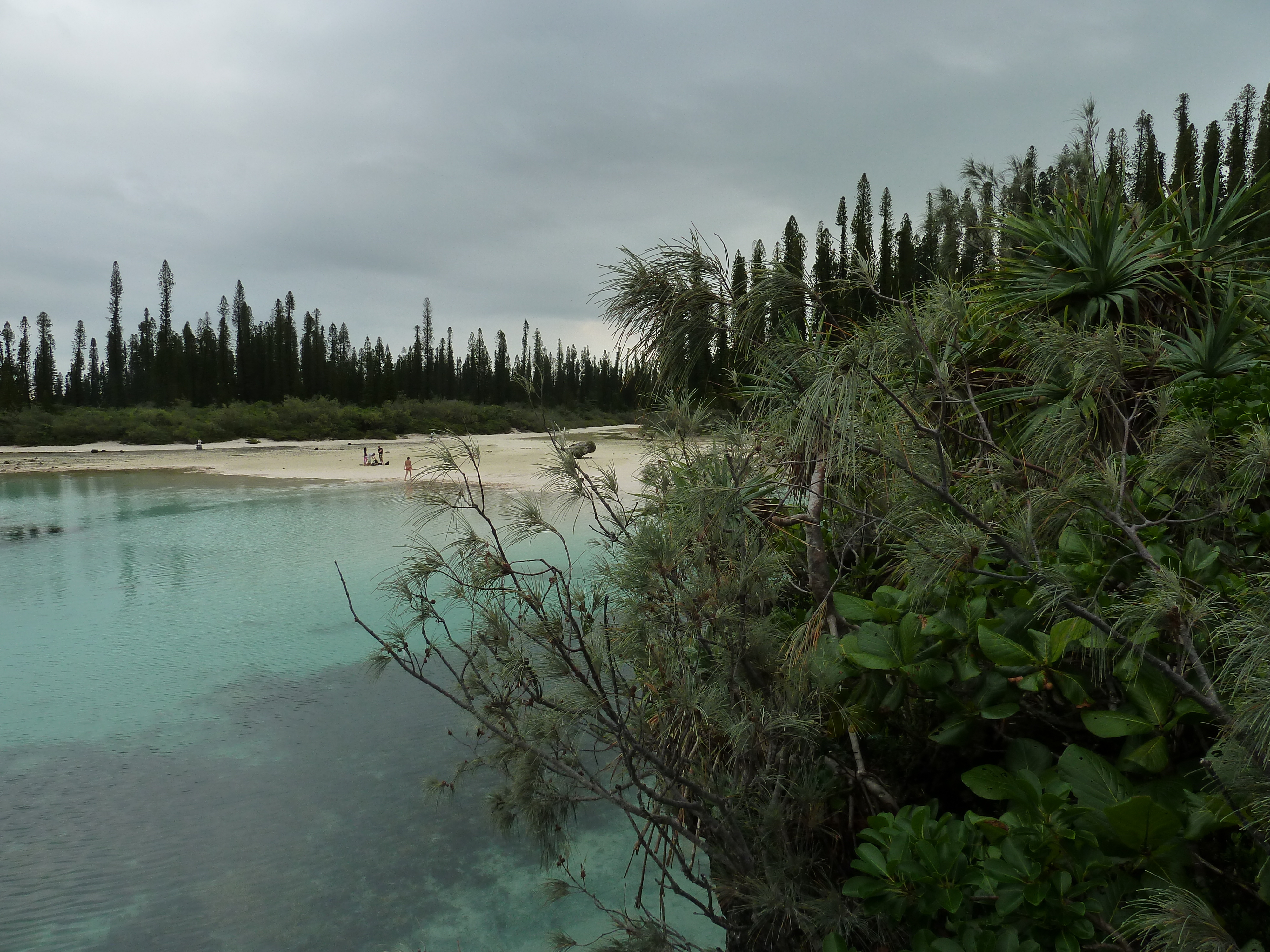 Picture New Caledonia Ile des pins Oro Bay 2010-05 89 - Center Oro Bay