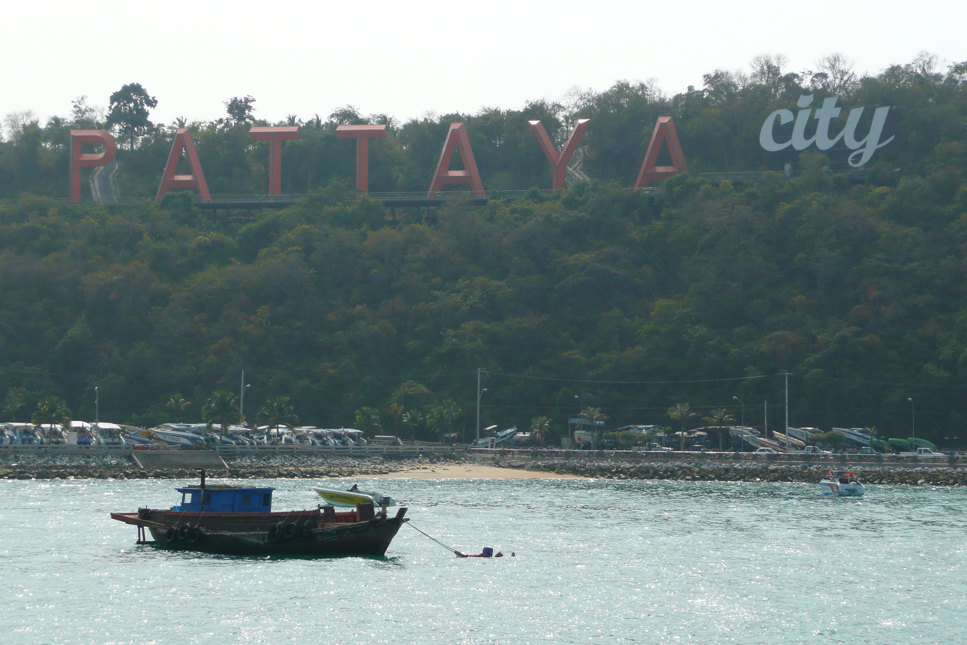 Picture Thailand Pattaya Bali Hai 2008-01 26 - Discovery Bali Hai