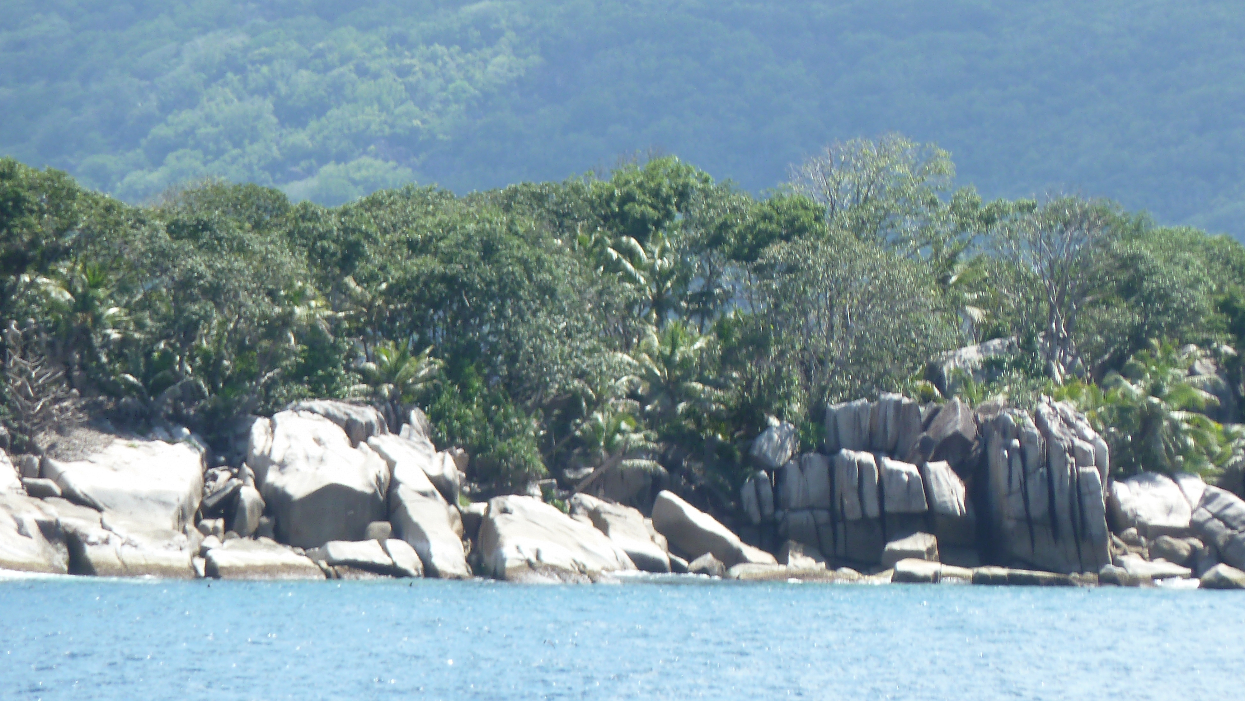 Picture Seychelles Coco Island 2011-10 47 - Around Coco Island