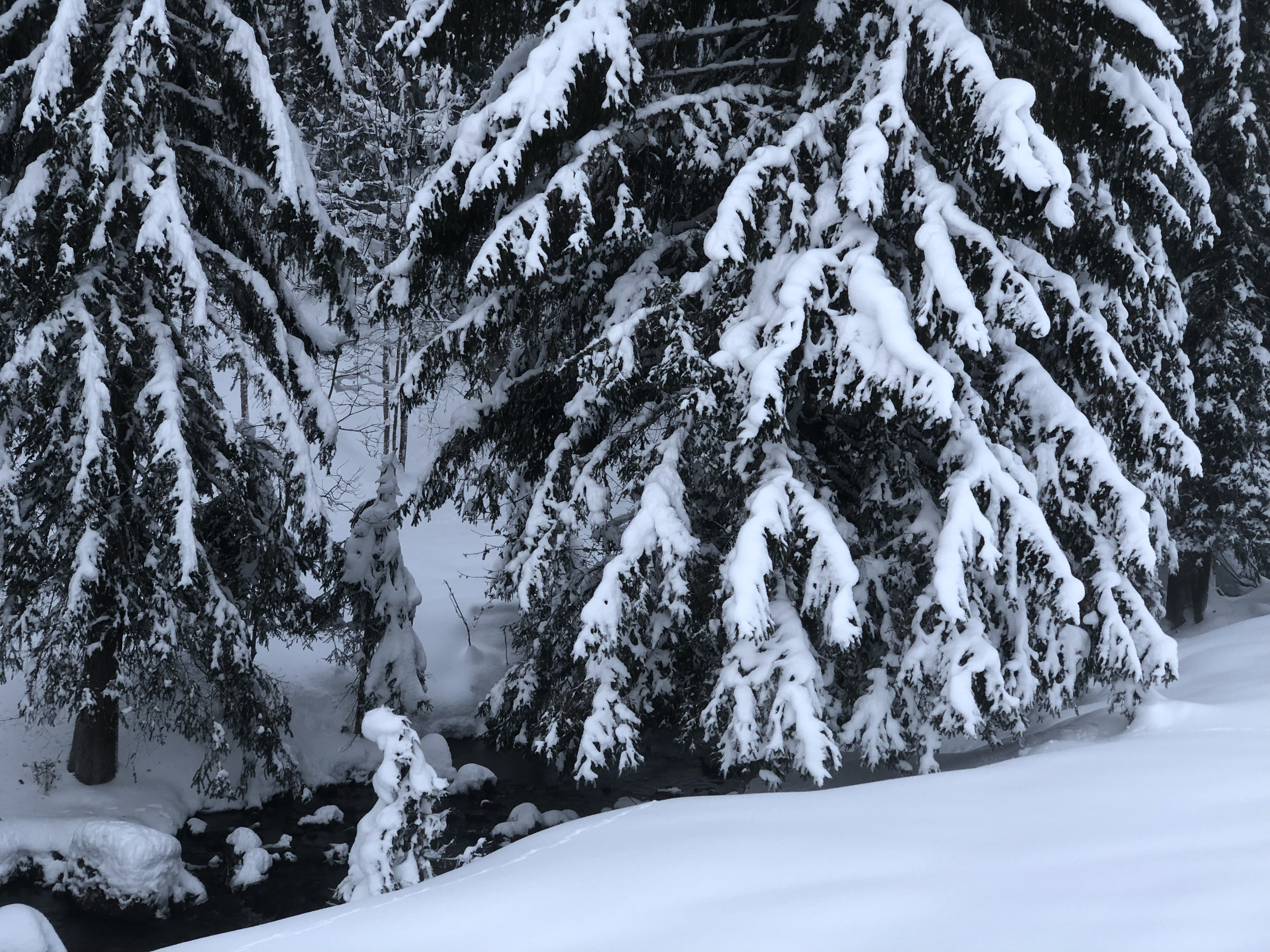 Picture France La Clusaz 2017-12 288 - Tour La Clusaz