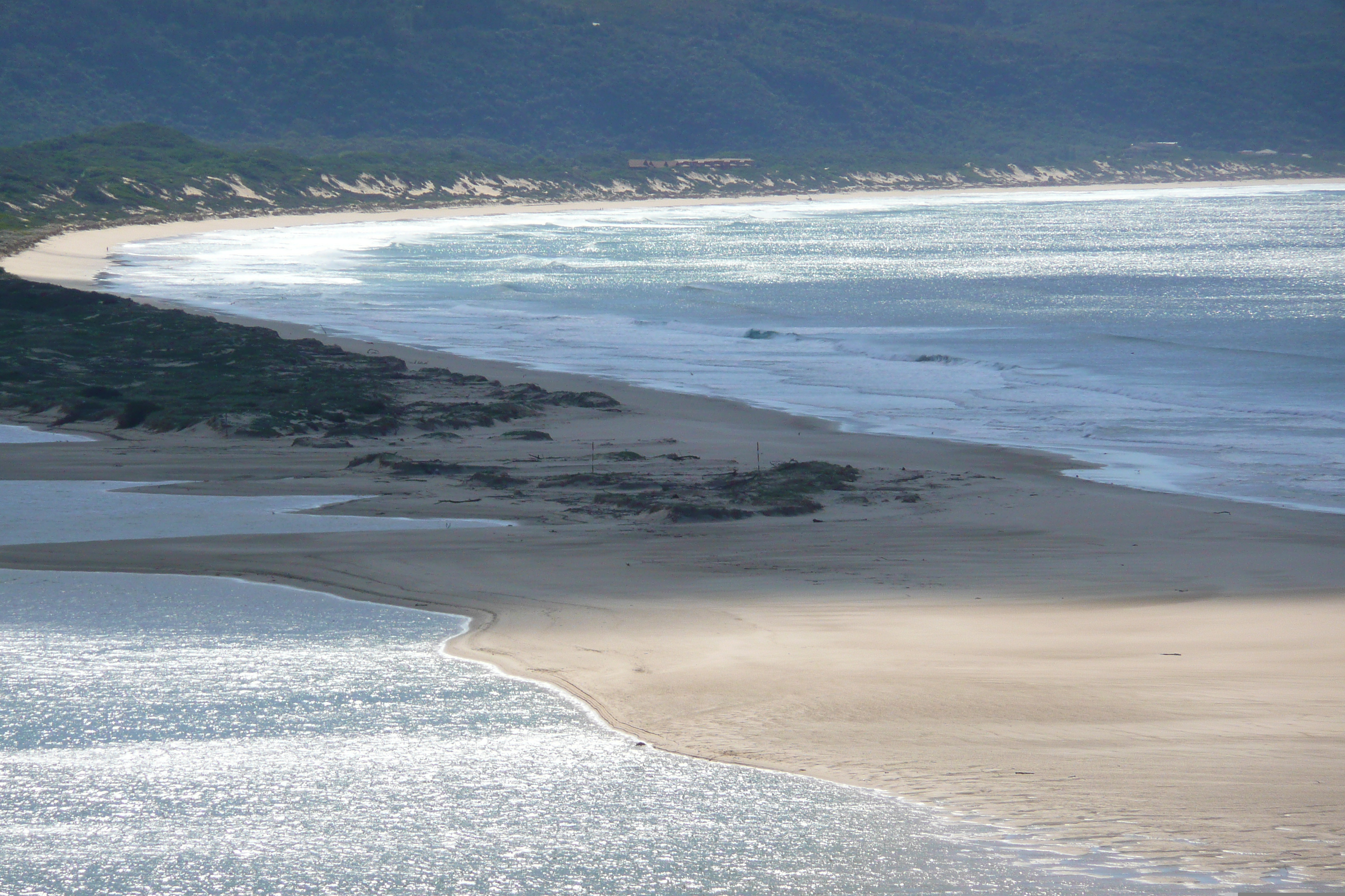 Picture South Africa Knysna to Port Elysabeth road 2008-09 11 - Tours Knysna to Port Elysabeth road