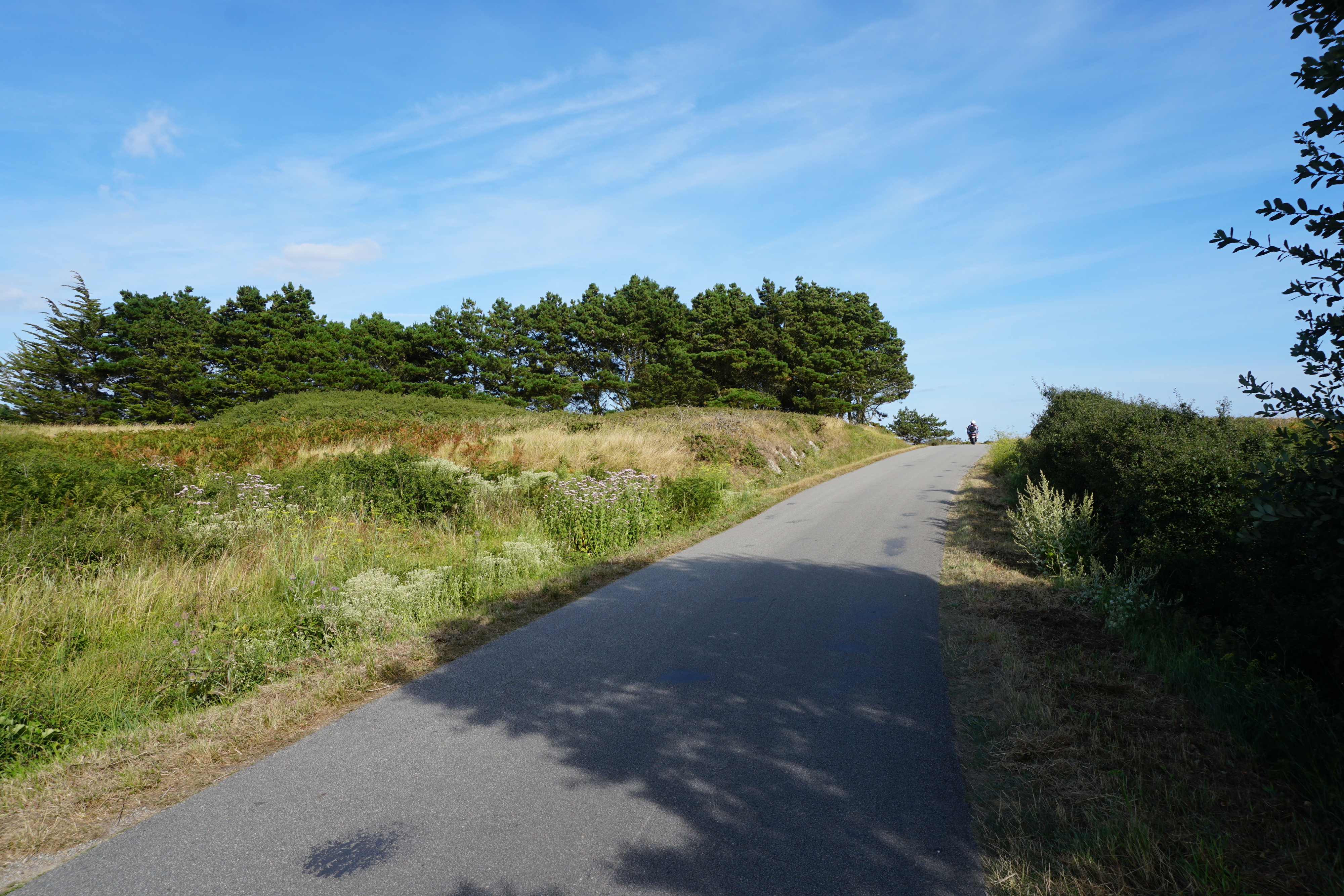 Picture France Belle-Ile 2016-08 245 - Discovery Belle-Ile