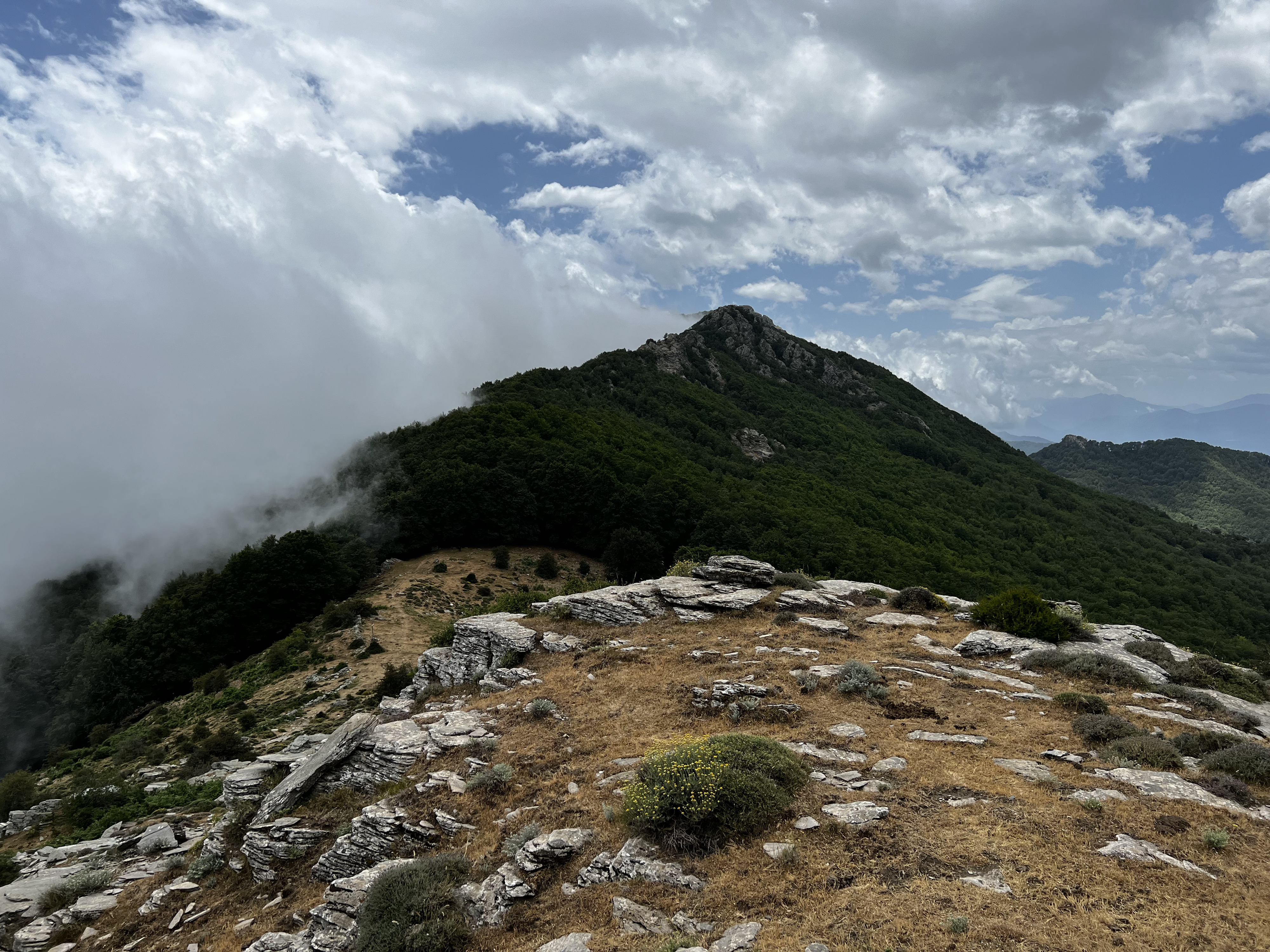 Picture France Corsica Refuge de Callerucciu 2022-06 8 - Center Refuge de Callerucciu