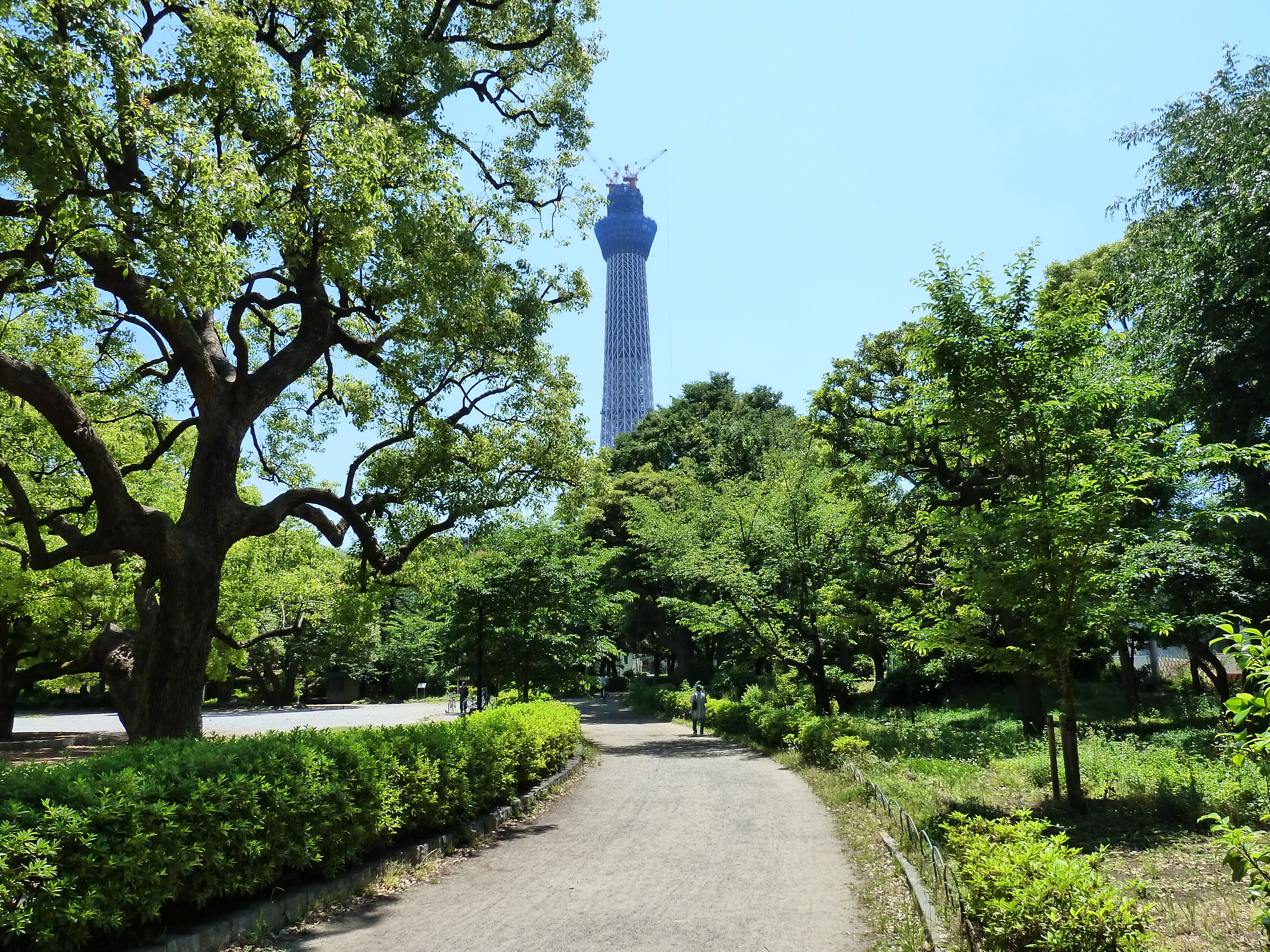 Picture Japan Tokyo Sumida 2010-06 5 - History Sumida